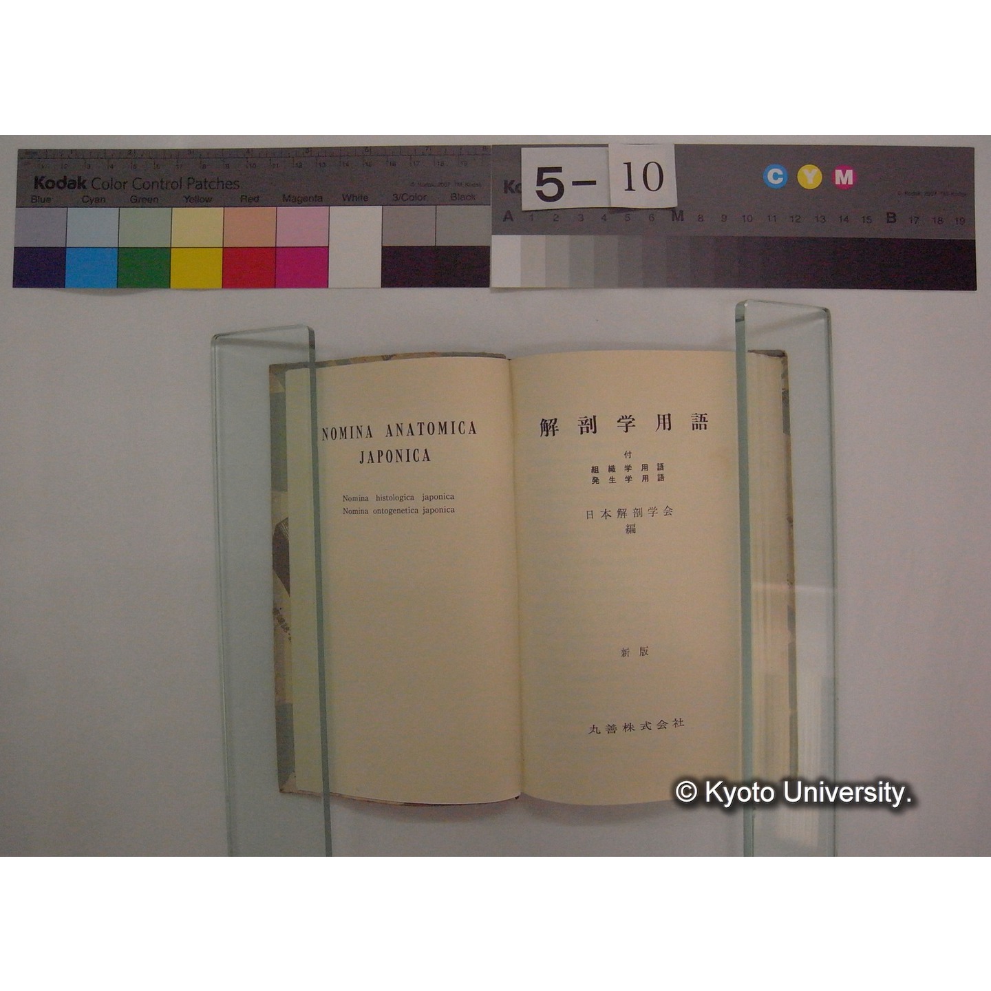 解剖学用語 / 日本解剖学学会 (新版: 7版) (4)