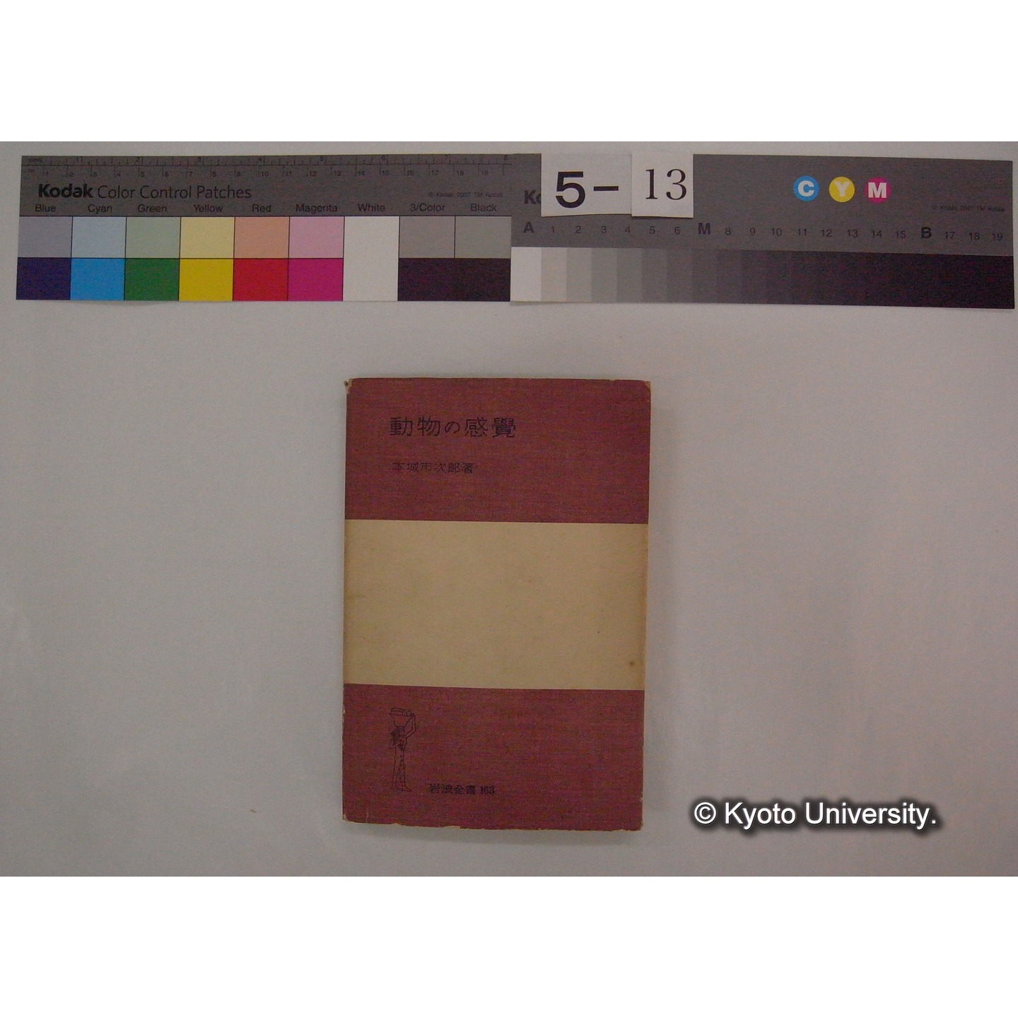 動物の感覚 / 本城市次郎著　(岩波全書: 163) (1)