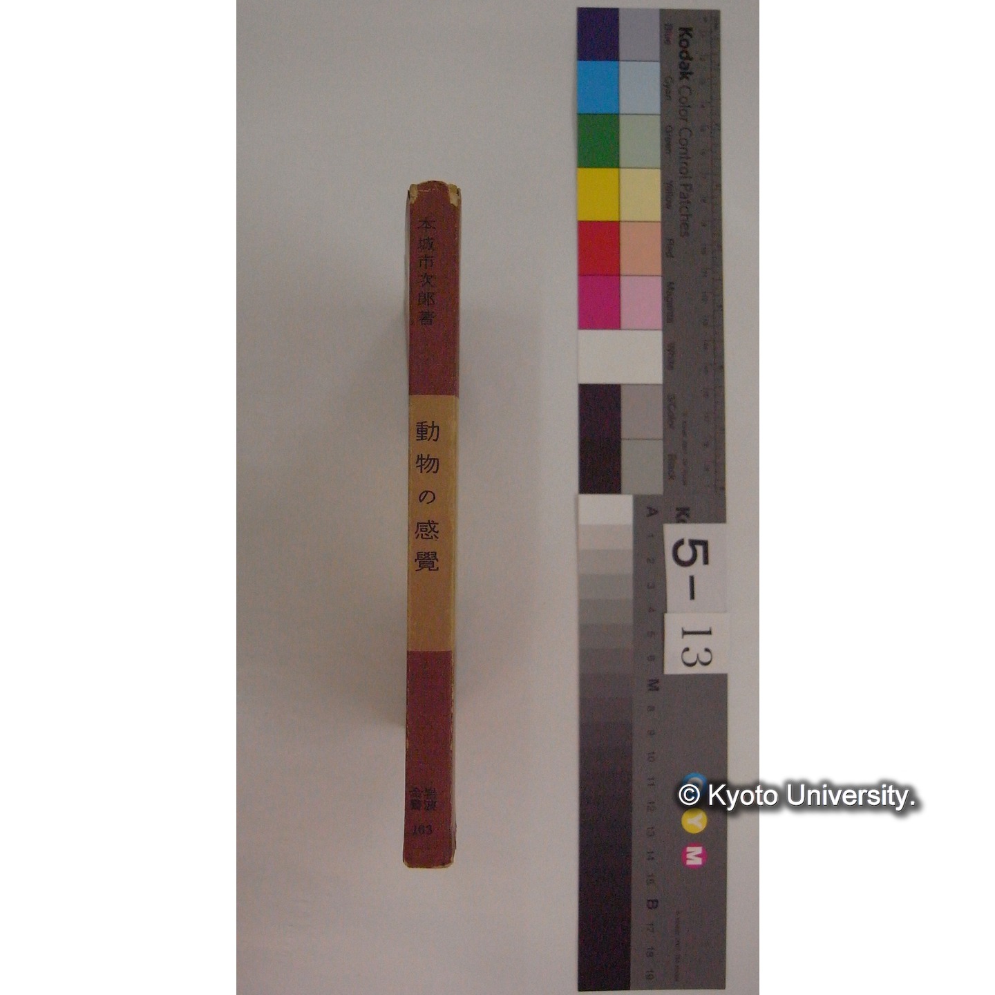 動物の感覚 / 本城市次郎著　(岩波全書: 163) (3)