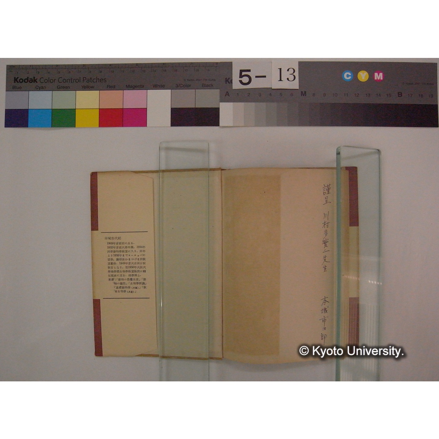 動物の感覚 / 本城市次郎著　(岩波全書: 163) (4)