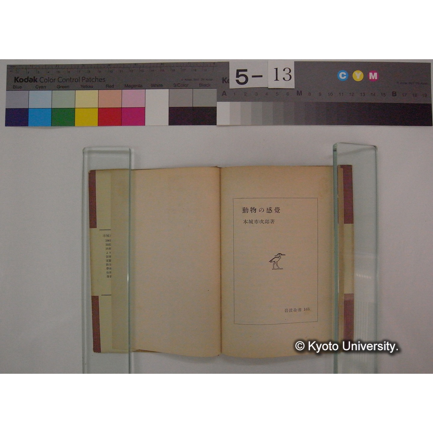 動物の感覚 / 本城市次郎著　(岩波全書: 163) (5)