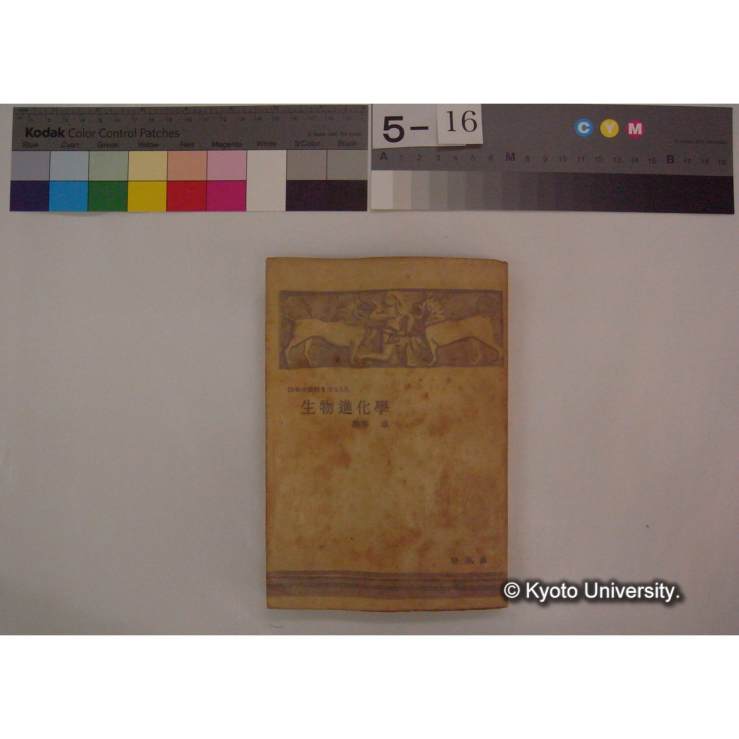 日本の資料を主とした生物進化学 / 駒井卓 (黎明叢書; 2) (1)