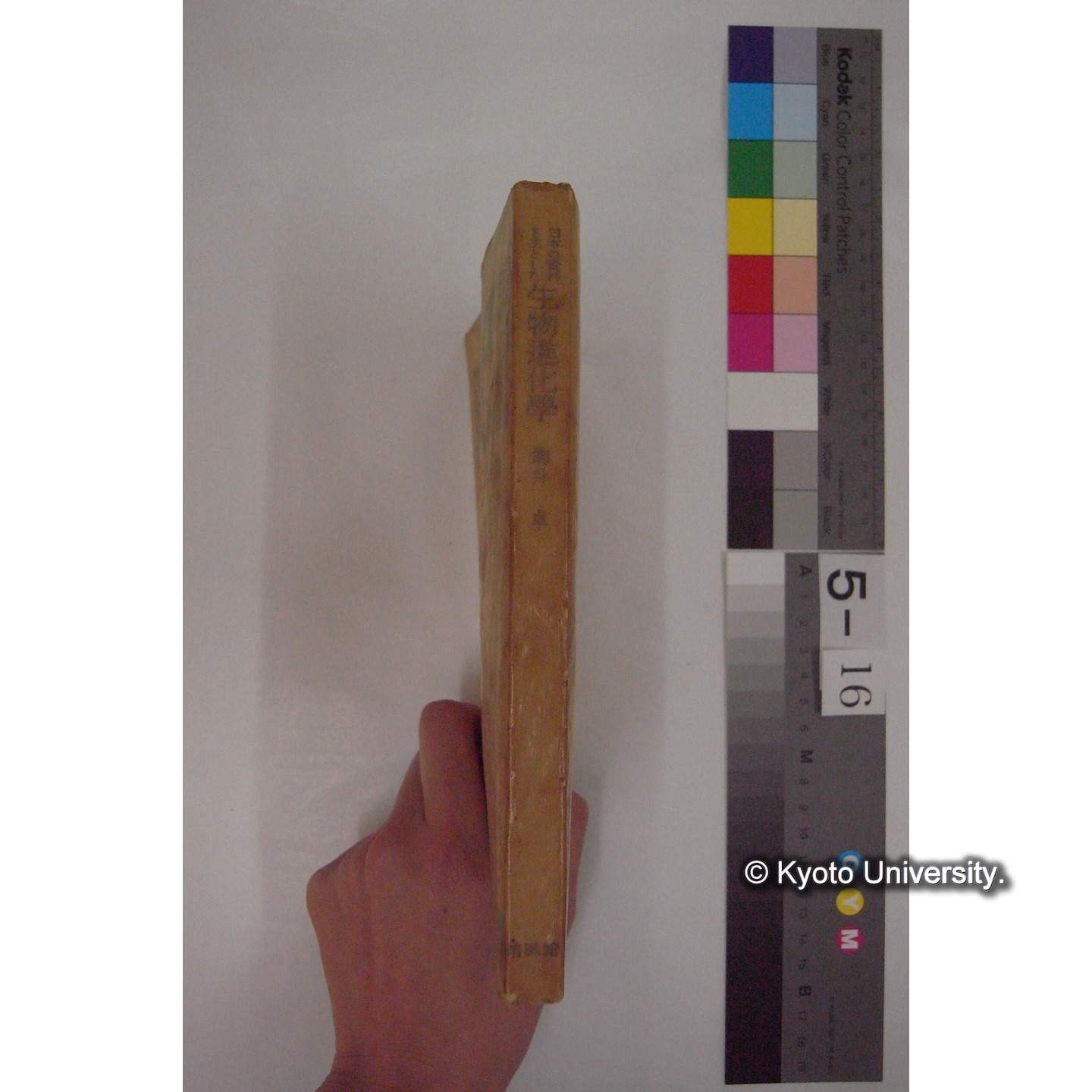 日本の資料を主とした生物進化学 / 駒井卓 (黎明叢書; 2) (13)