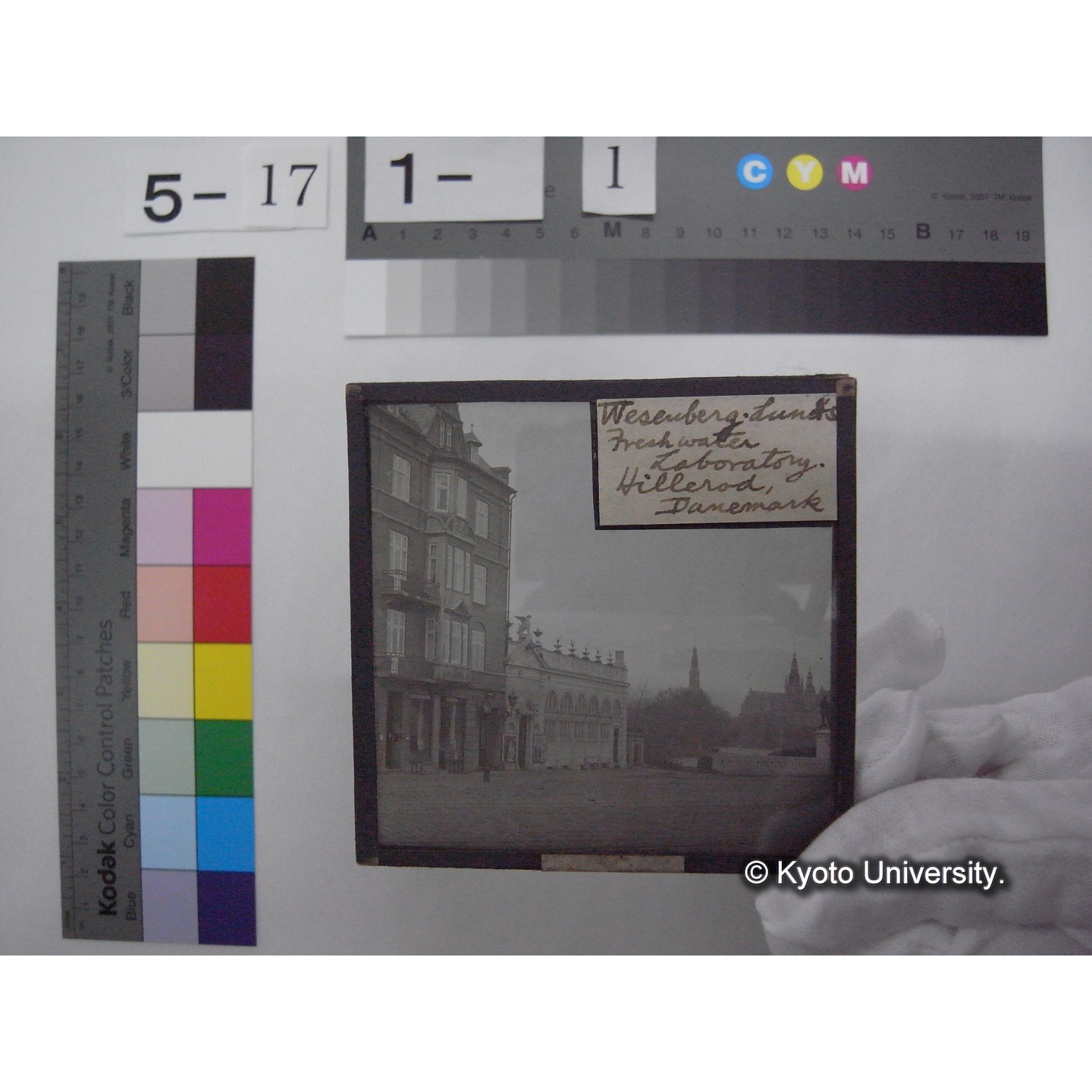 スライド(ガラス種板): S38 Weseuberg-Lund's Fresh water Laboratory, Hillerod, Danmark. (1)