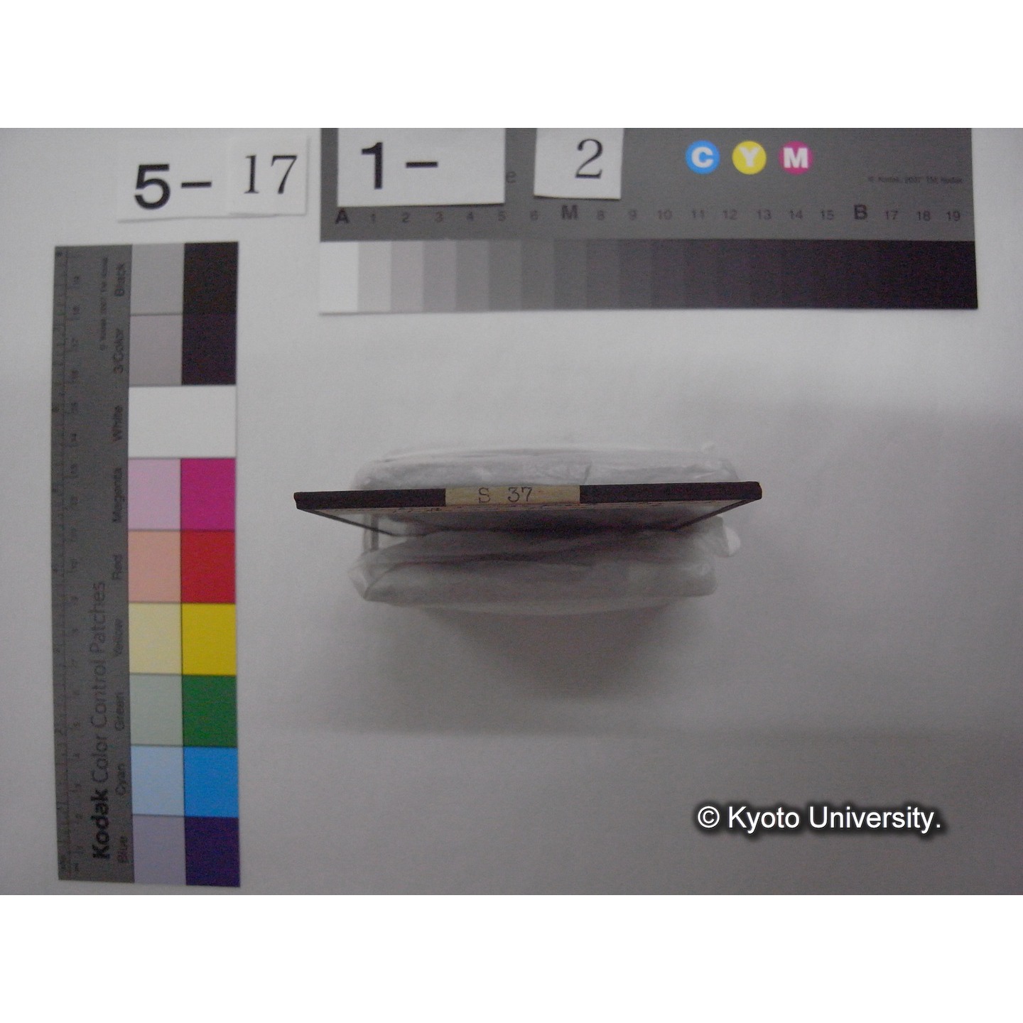 スライド(ガラス種板): S37 Weseuberg-Lund's Fresh water Laboratory, Hillerod, Danmark. あるいは Danish Freshwater Biological Laboratory (of University of Copenhagen). (2)