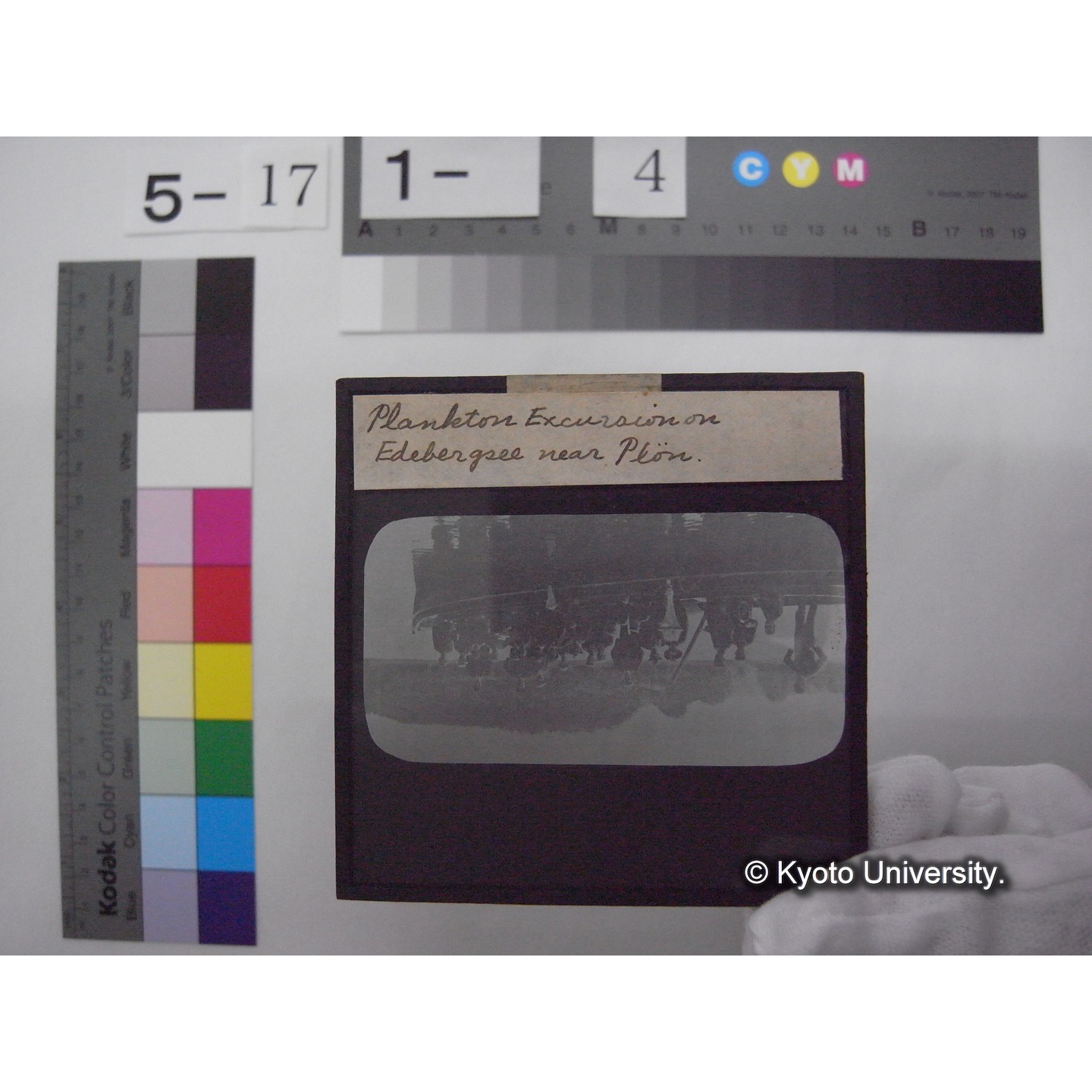 スライド(ガラス種板): S07 Plankton Excursion on Edebergsee near Pl?n. (1)