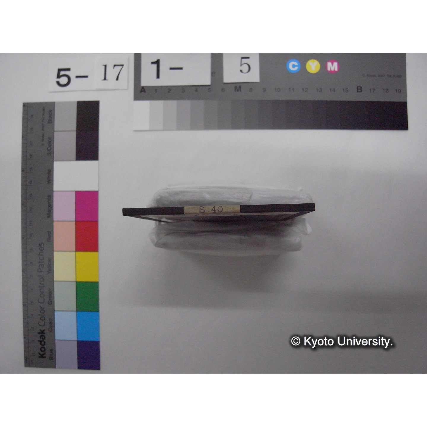 スライド(ガラス種板): S40 Member of Biological Station on Wolga. (2)