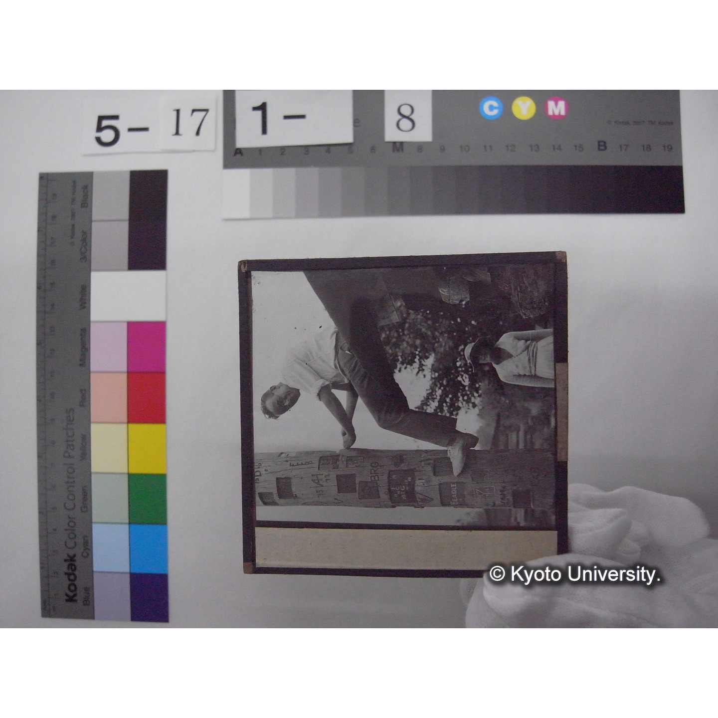 スライド(ガラス種板): S54 Biological Station, Douglas Lake, Mich. Totem-pole. (1)