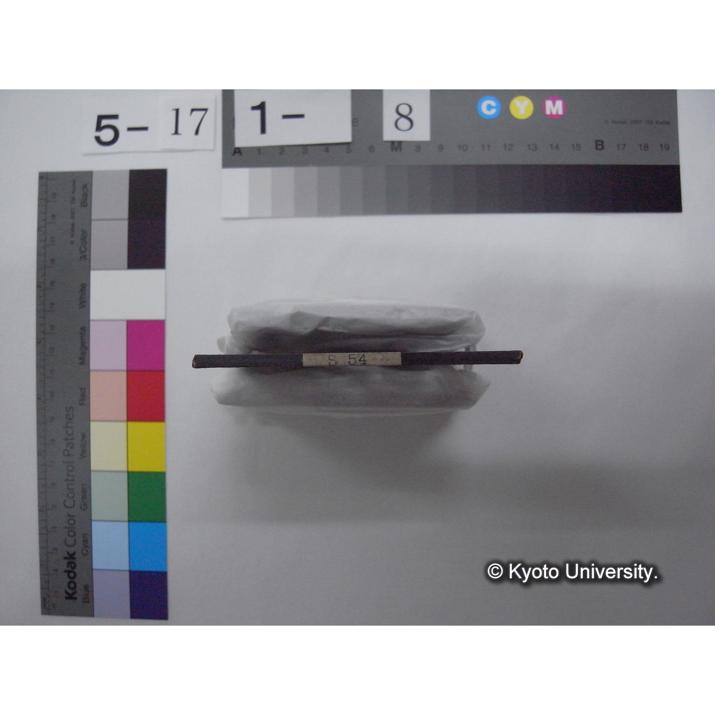 スライド(ガラス種板): S54 Biological Station, Douglas Lake, Mich. Totem-pole. (2)