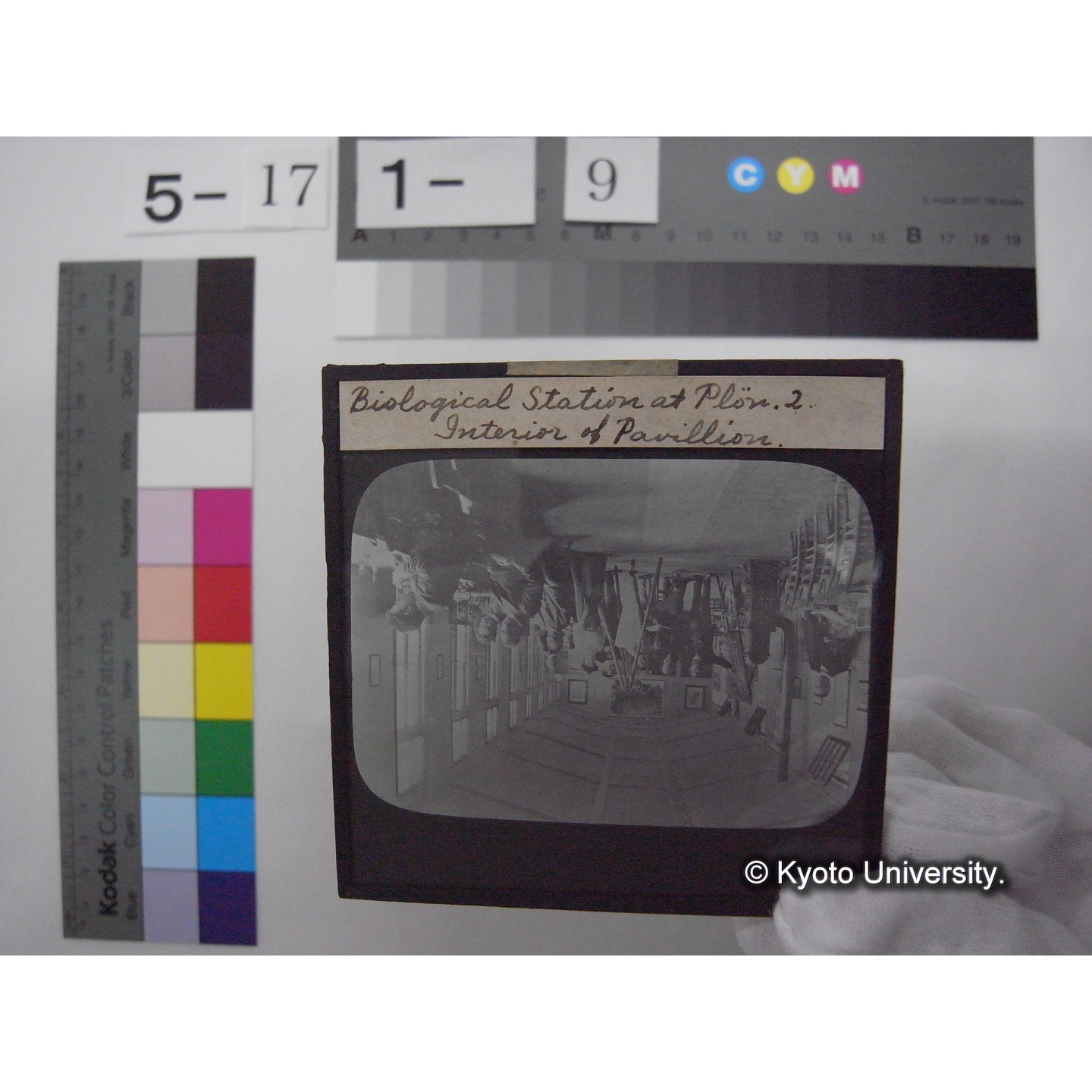 スライド(ガラス種板): S06 Biological Station at Pl?n, 2. Interior of Pavilion. (1)