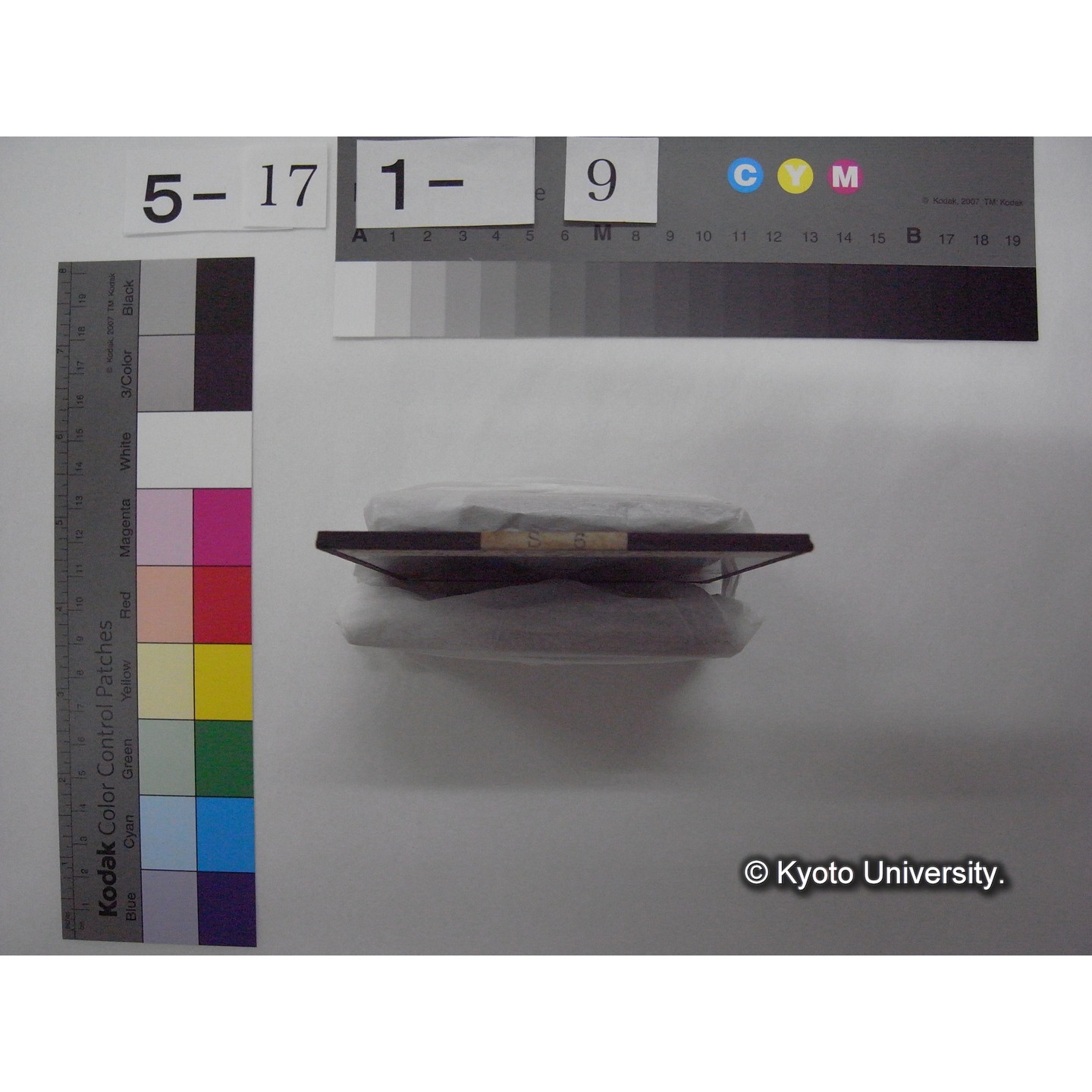 スライド(ガラス種板): S06 Biological Station at Pl?n, 2. Interior of Pavilion. (2)