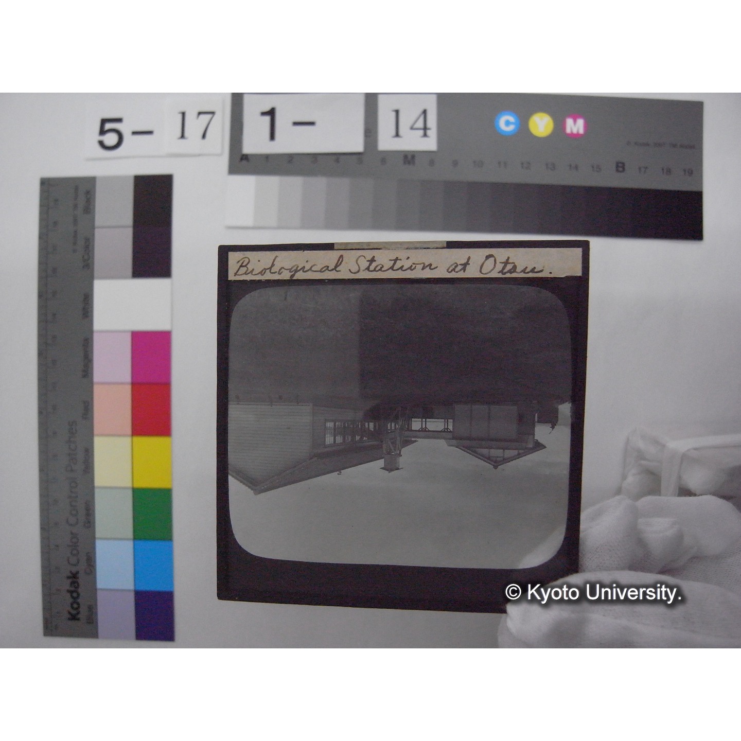 スライド(ガラス種板): S59 Biological Station at Otsu. (1)