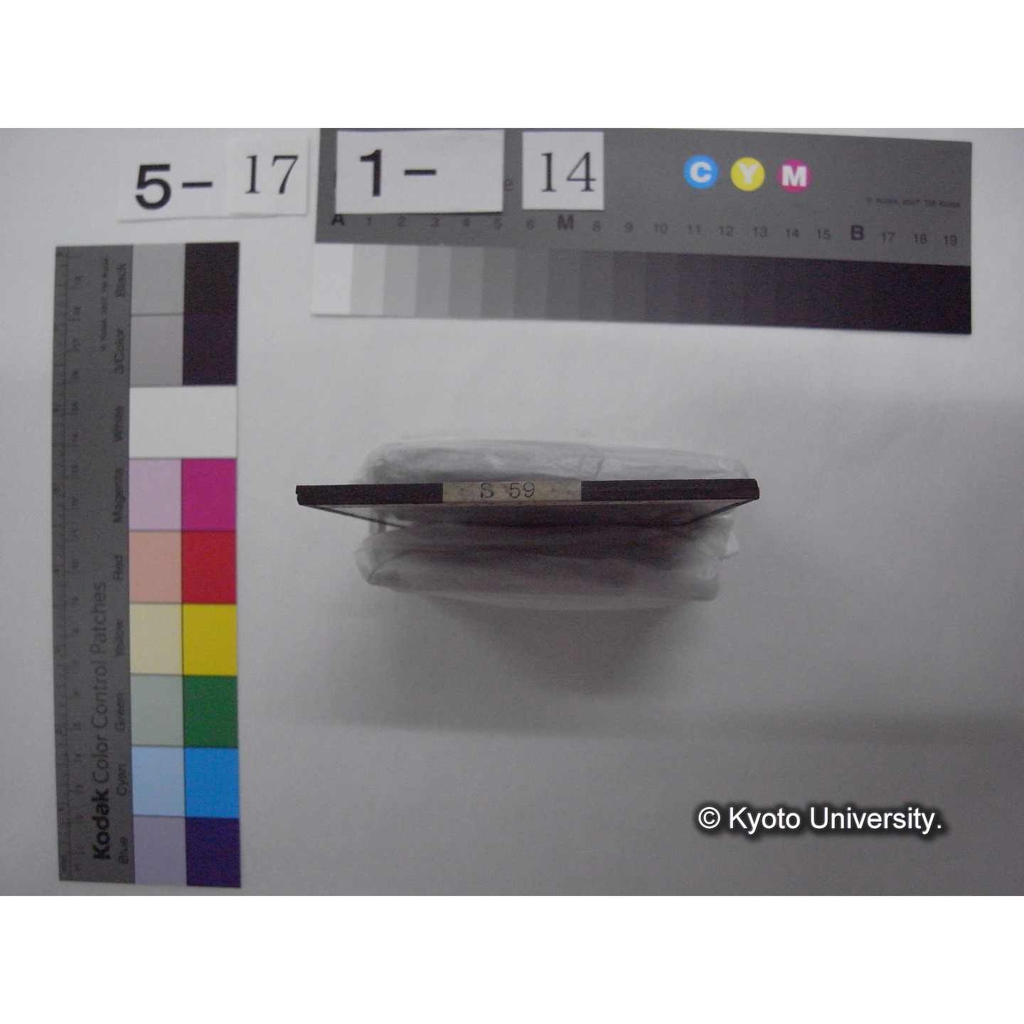 スライド(ガラス種板): S59 Biological Station at Otsu. (2)