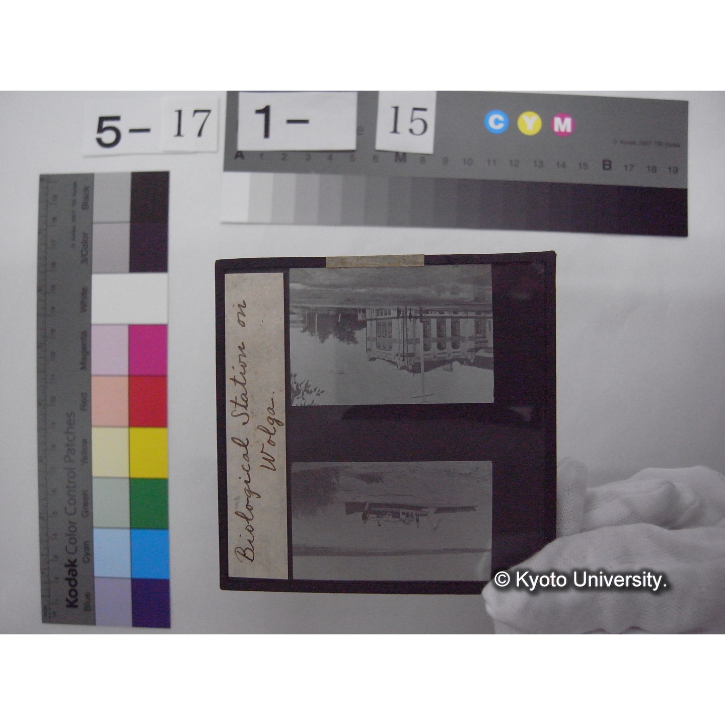 スライド(ガラス種板): S41 Biological Station on Wolga. (1)