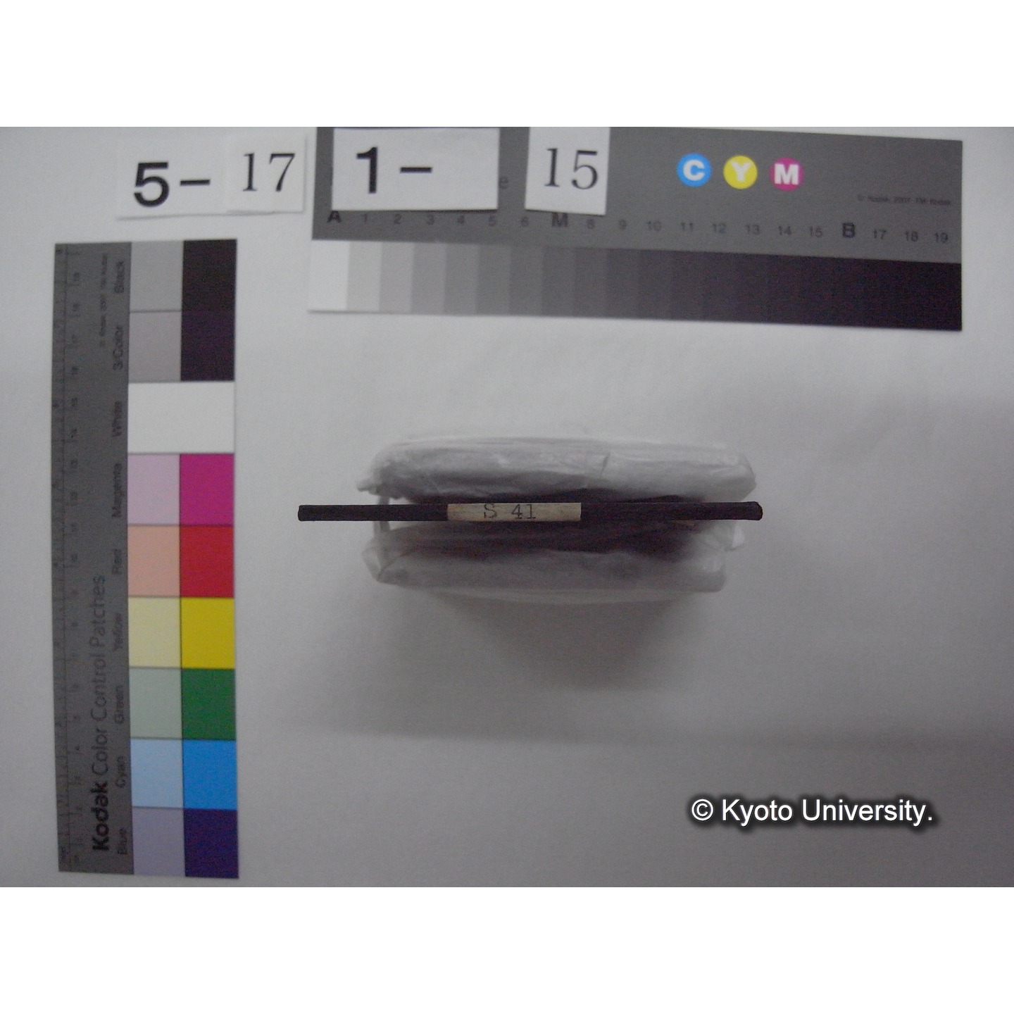スライド(ガラス種板): S41 Biological Station on Wolga. (2)