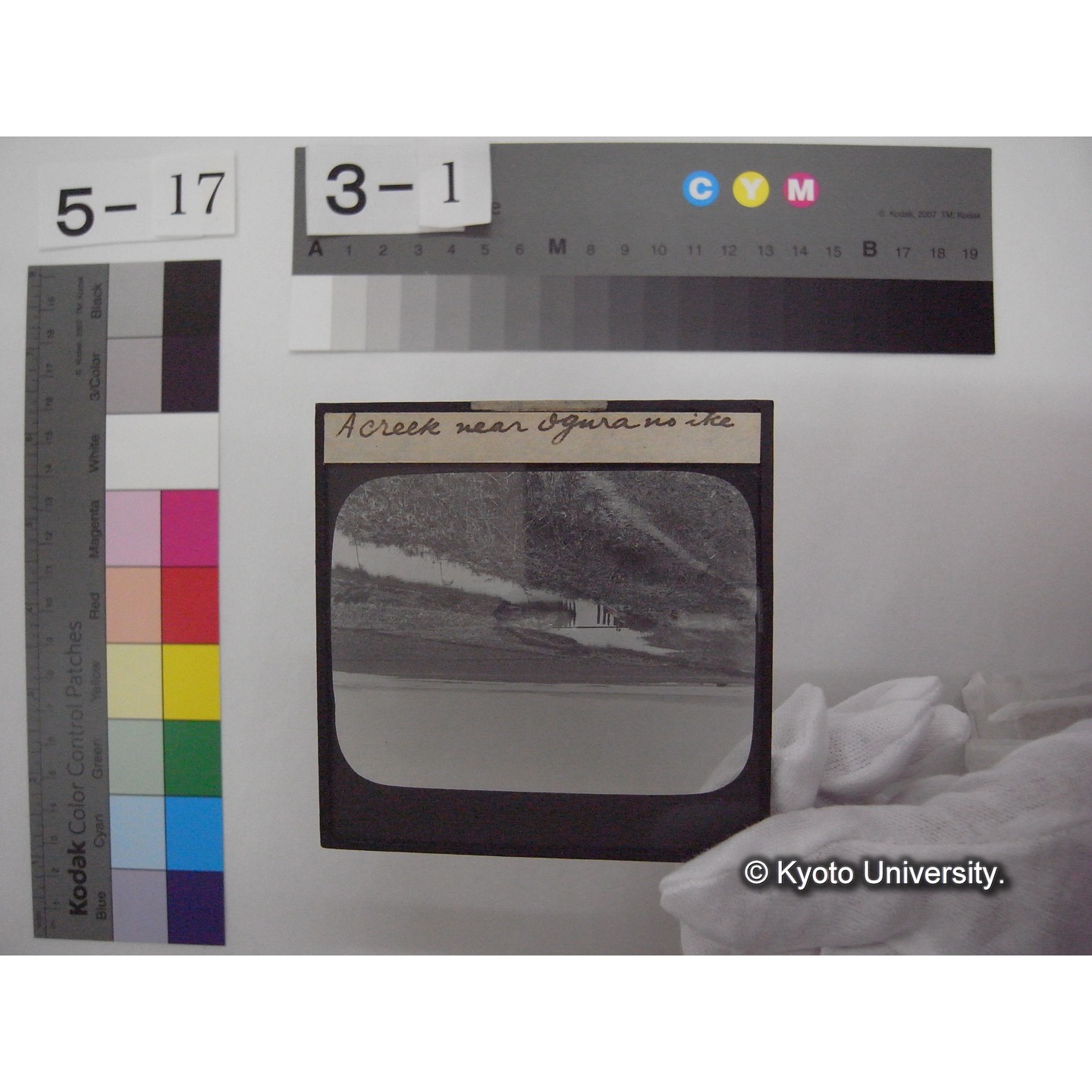 スライド(ガラス種板): T18 A Creek near Ogura no ike. (1)