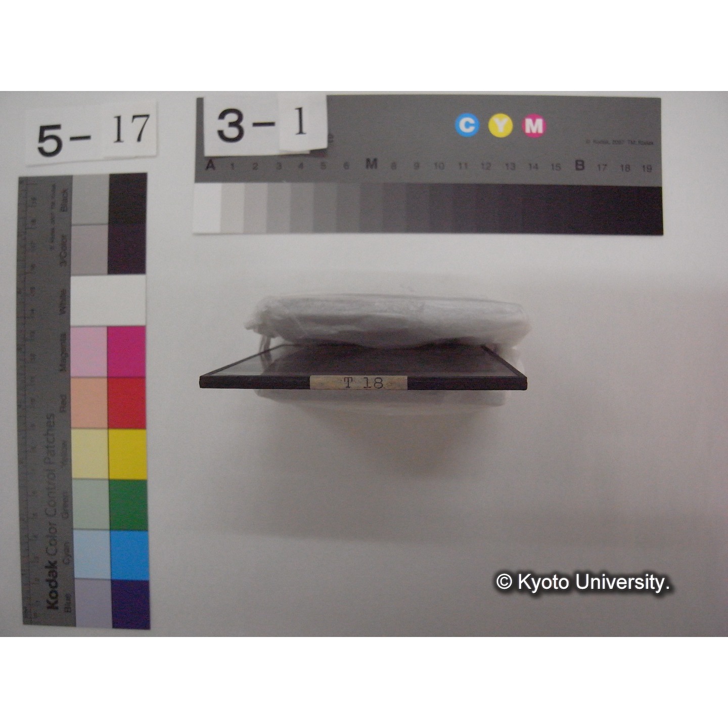 スライド(ガラス種板): T18 A Creek near Ogura no ike. (2)