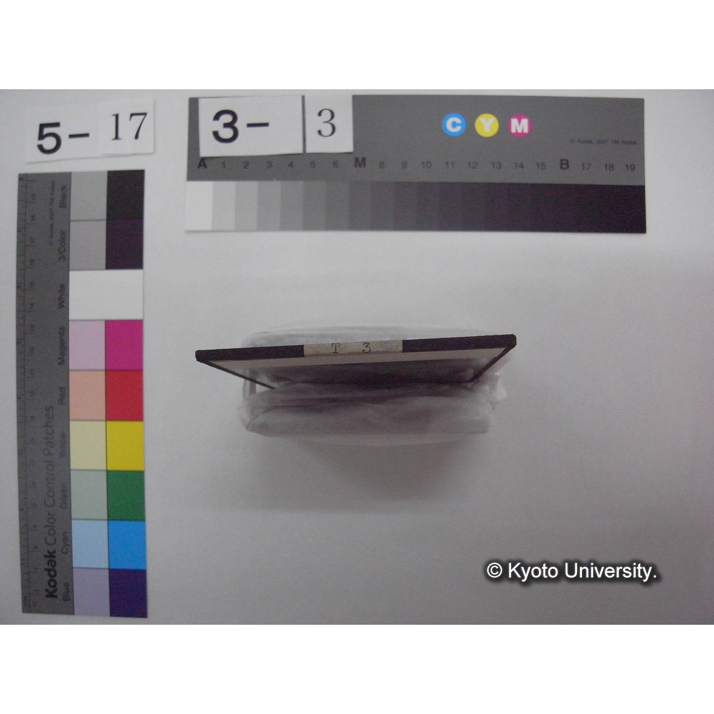 スライド(ガラス種板): T03 Lake Suwa, an example with low digital mass. (2)