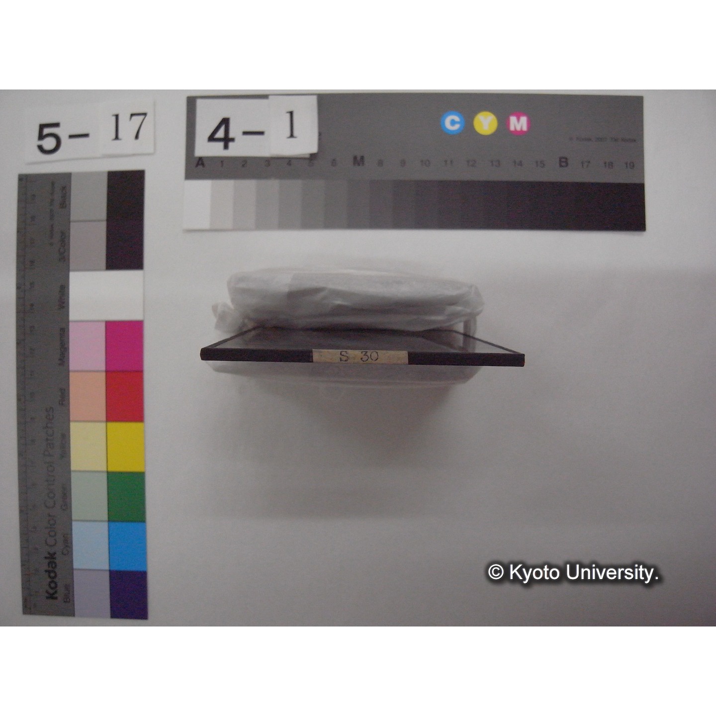 スライド(ガラス種板): S30 Excursion on Lanca Rottone near Pavia. (2)