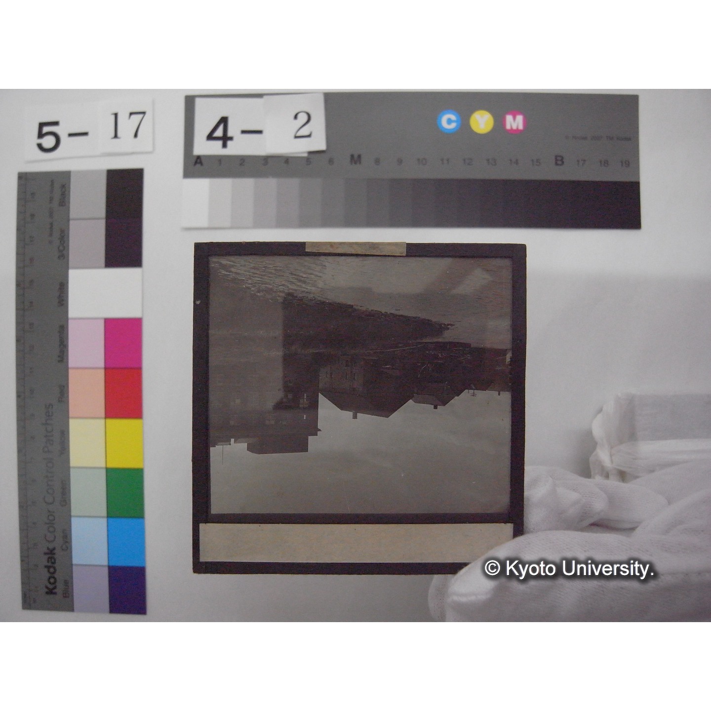 スライド(ガラス種板): S53 Biological Station, woodshole. (1)