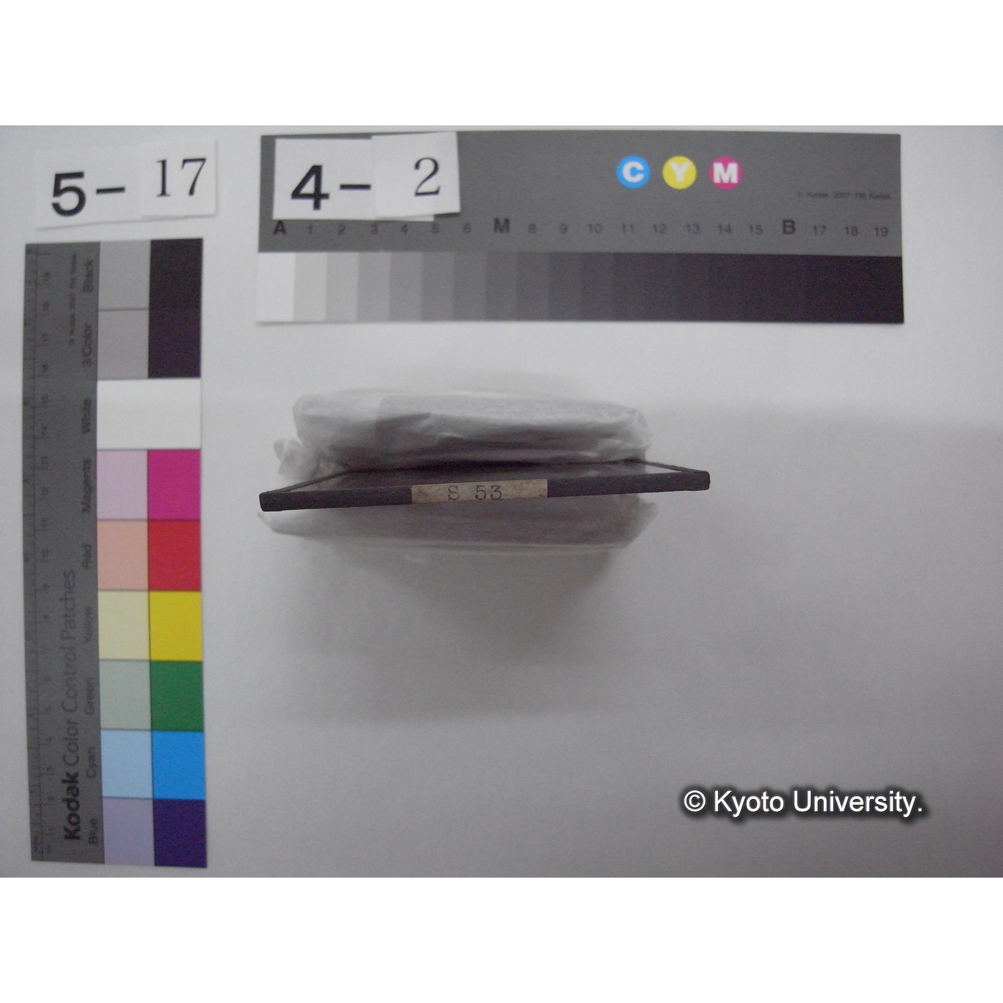 スライド(ガラス種板): S53 Biological Station, woodshole. (2)