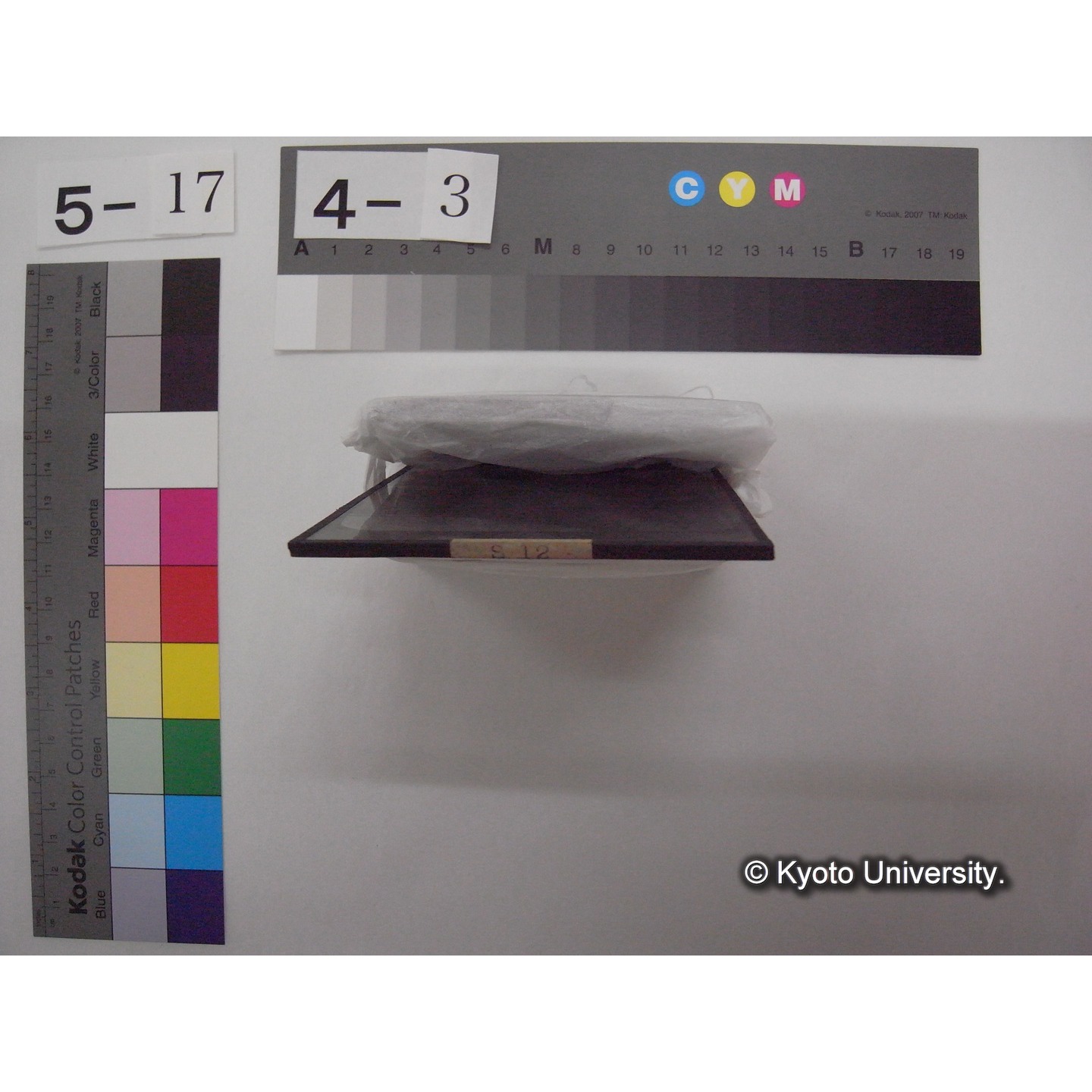 スライド(ガラス種板): S12 Ophrydium collection in Untersee zu Lunz. (2)