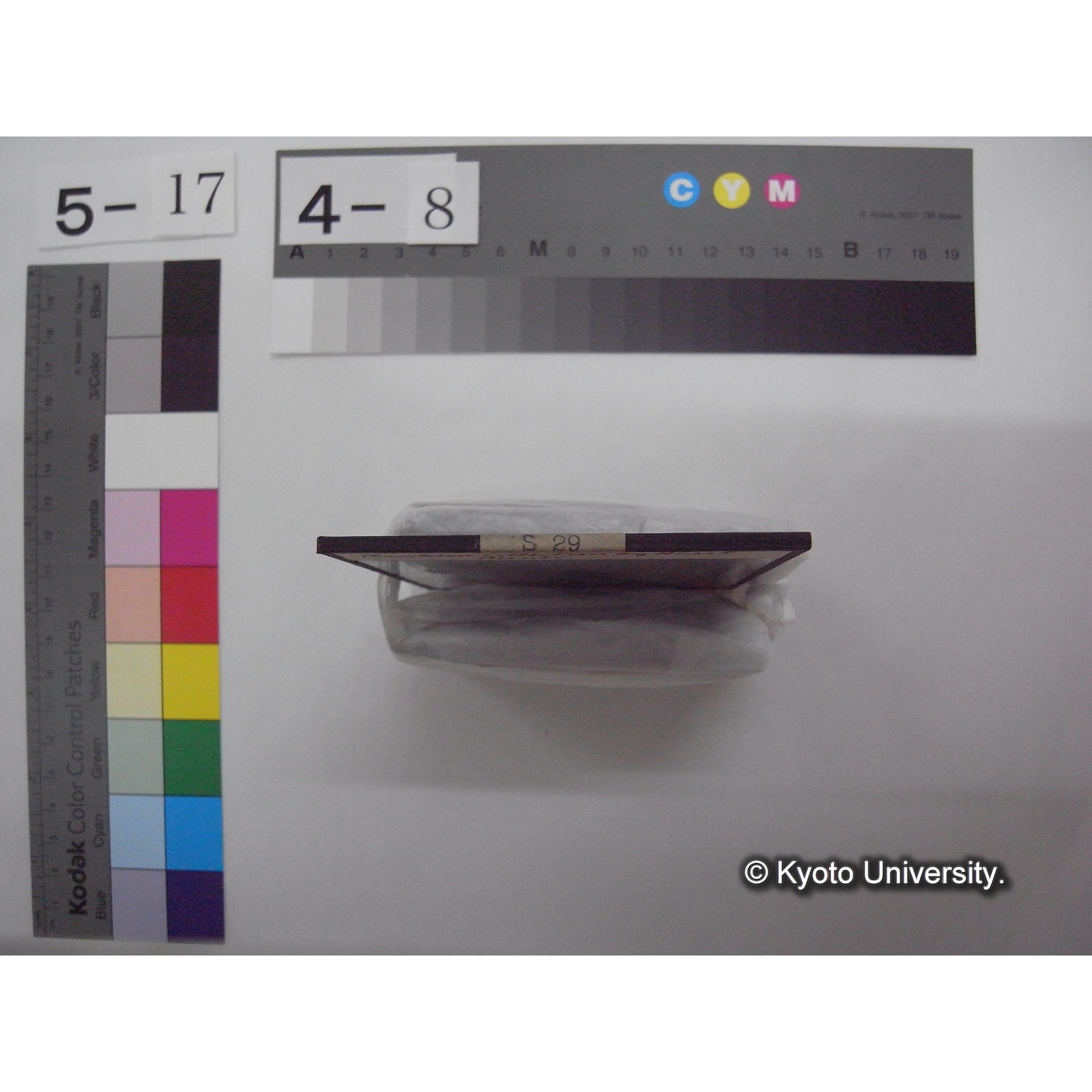 スライド(ガラス種板): S29 Plankton collection by Miss R. Monti ou L.Panelatte. (2)