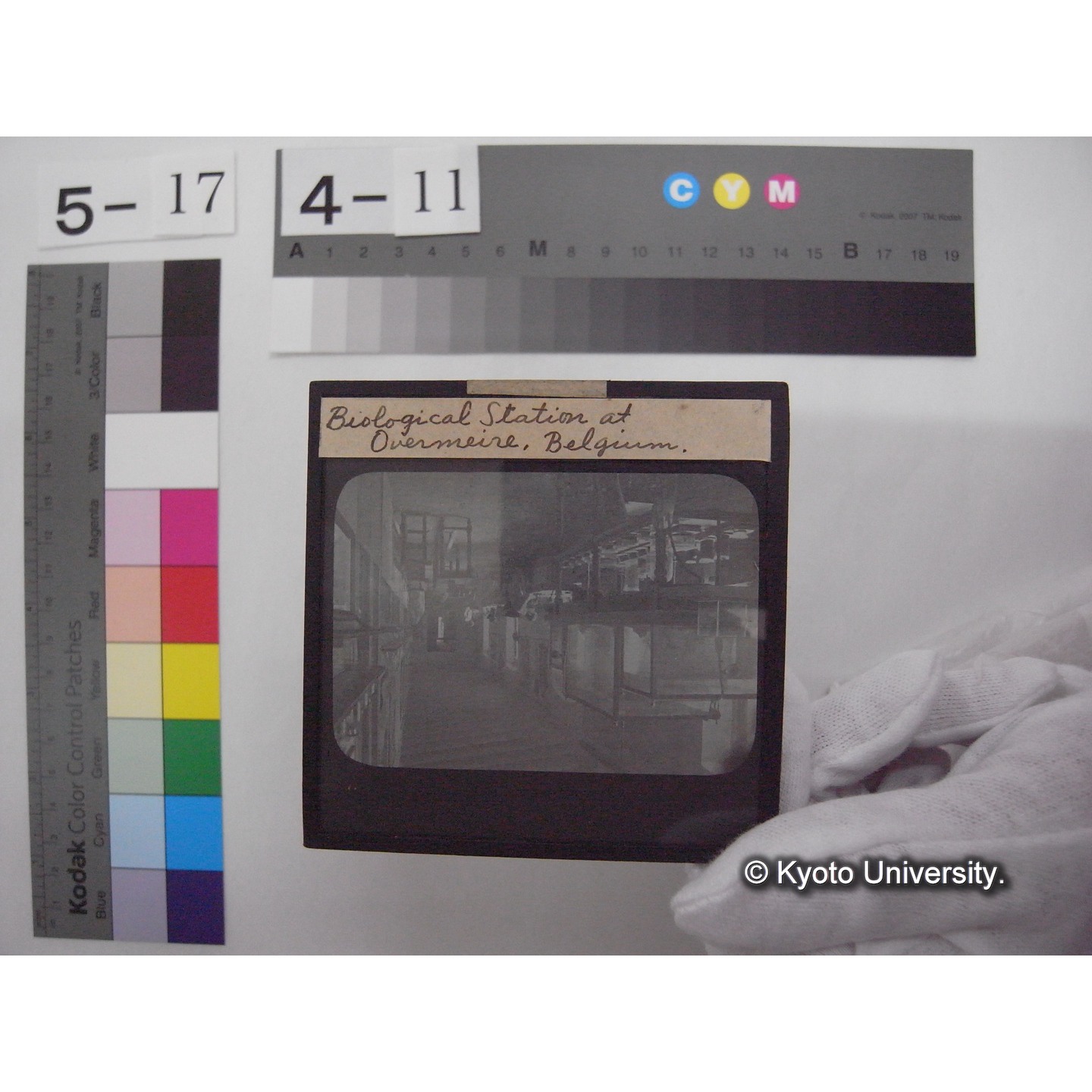 スライド(ガラス種板): S34 Biological Station at Overmeire, Belgium. (1)