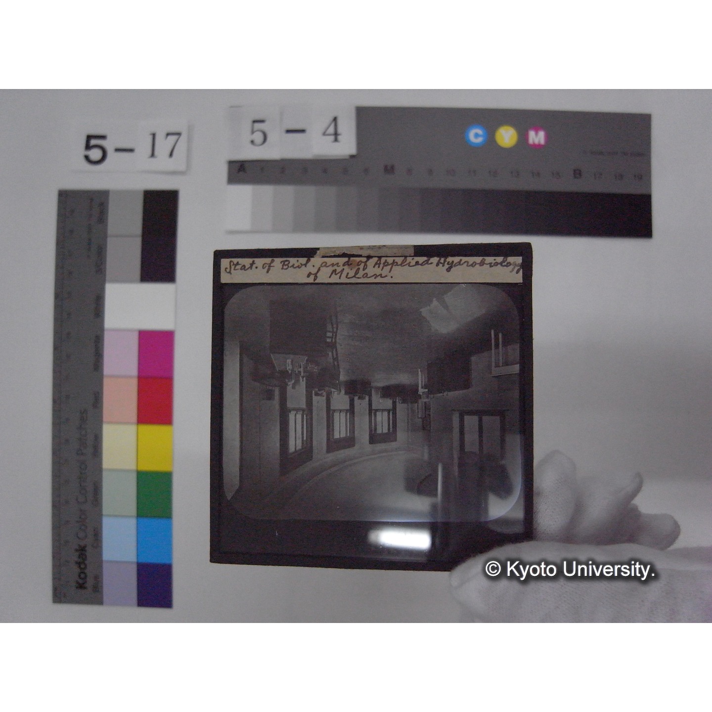 スライド(ガラス種板): S24 Station of Biology and of Applied Hydrobiology of Milan. (1)