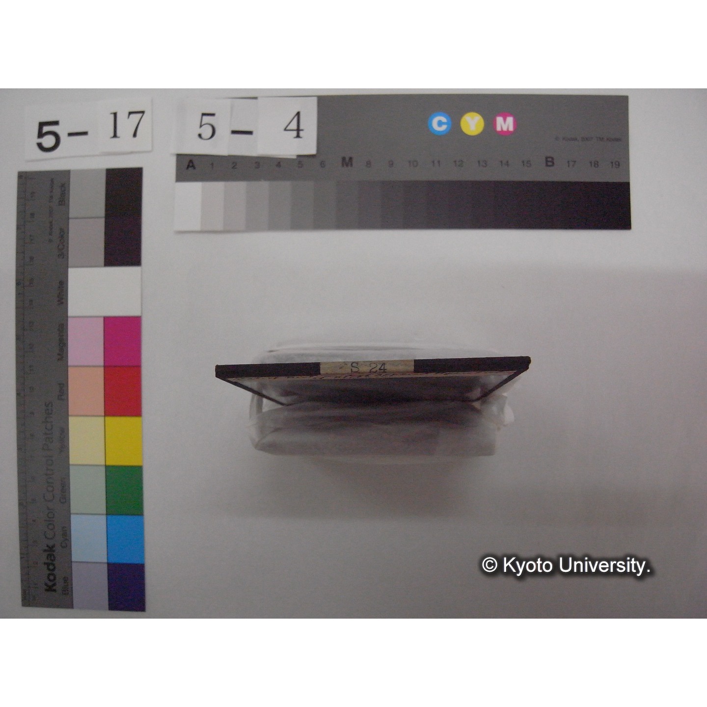 スライド(ガラス種板): S24 Station of Biology and of Applied Hydrobiology of Milan. (2)