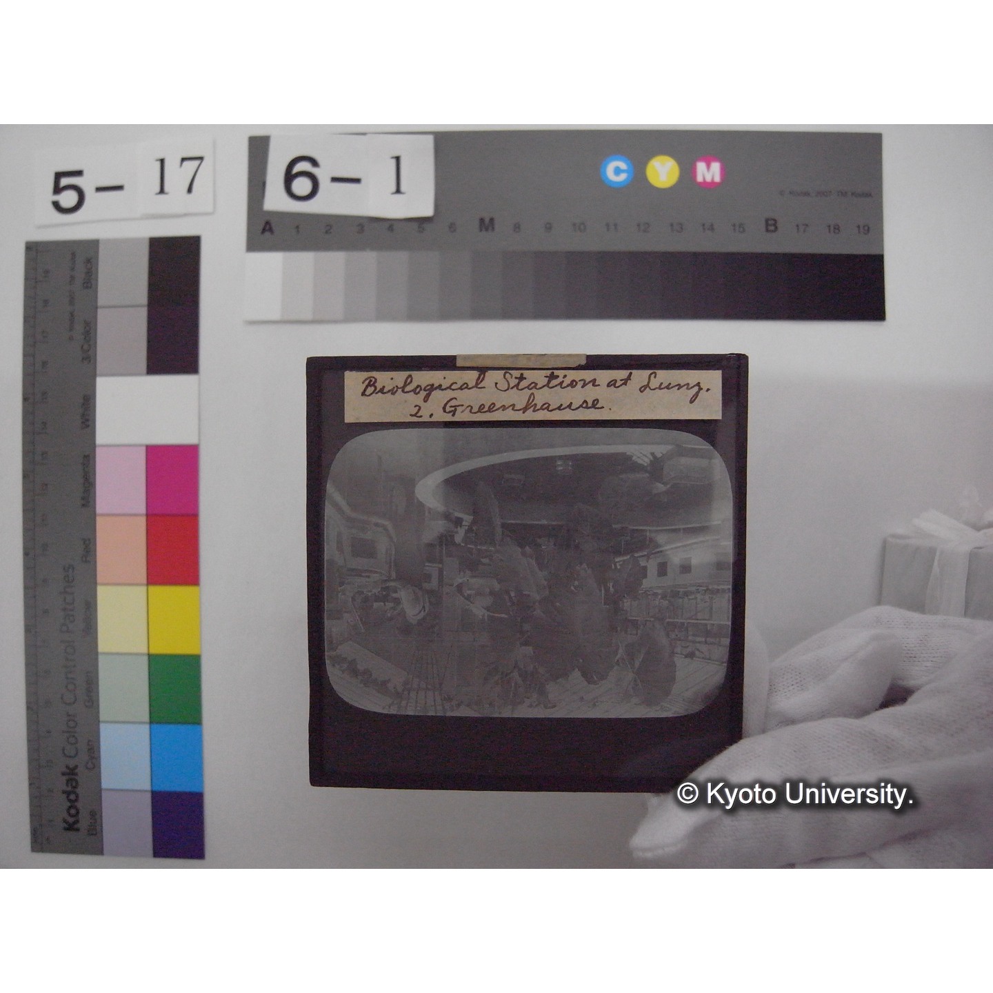 スライド(ガラス種板): S10 Biological Station at Lunz, 2. Greenhause. (1)