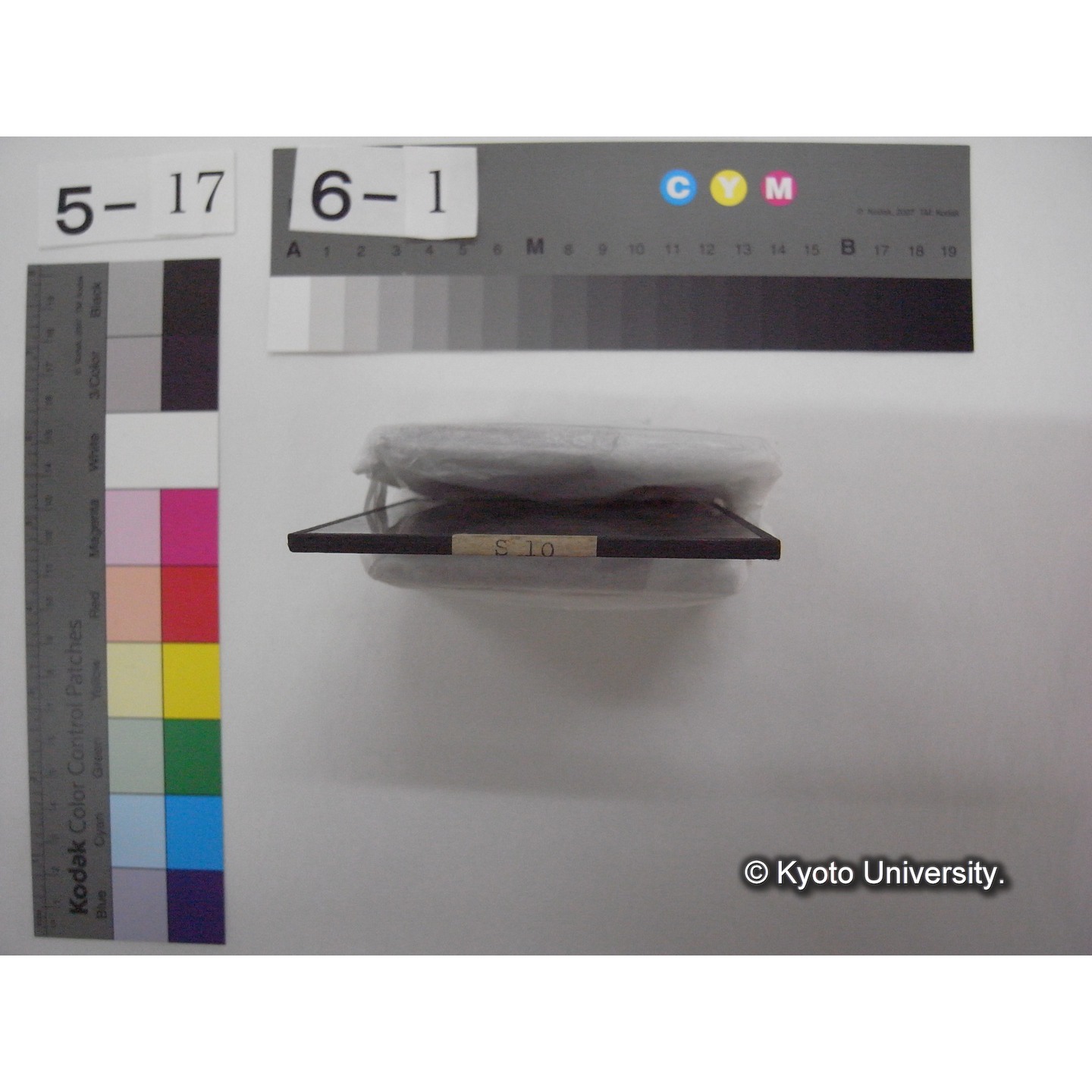スライド(ガラス種板): S10 Biological Station at Lunz, 2. Greenhause. (2)