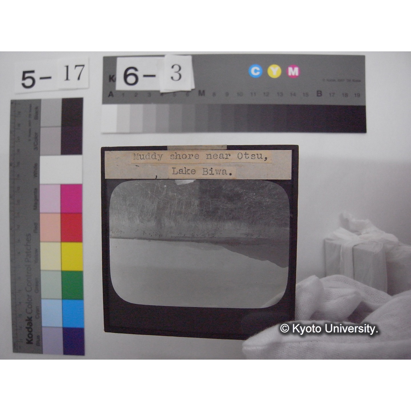 スライド(ガラス種板): T12 Muddy shore near Otsu, Lake Biwa. (1)