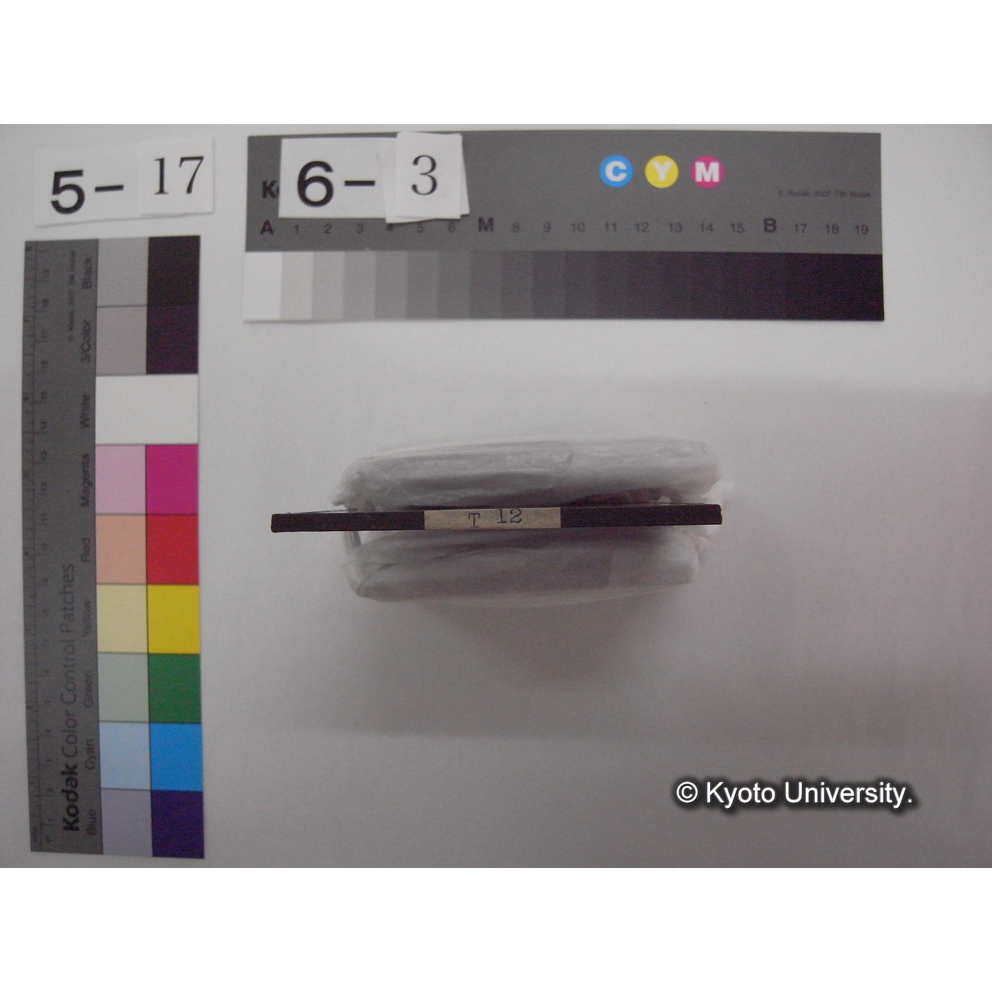 スライド(ガラス種板): T12 Muddy shore near Otsu, Lake Biwa. (2)