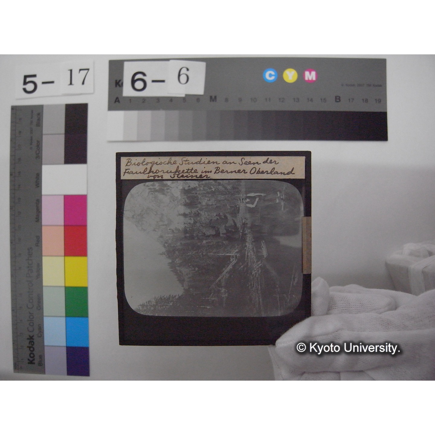 スライド(ガラス種板): S22 Biologische Studien an Seen der Faulhorukette im Berner Oberland von G. Stainer. (1)