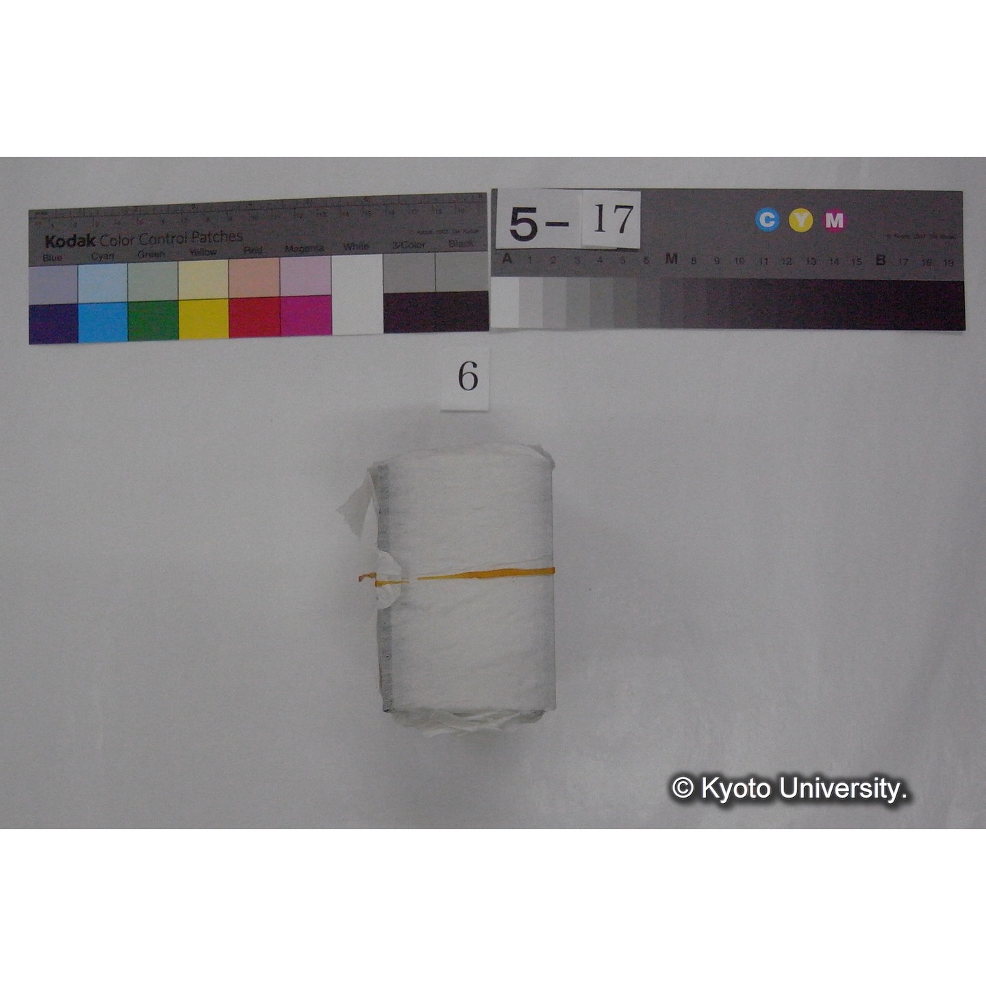 スライド(ガラス種板) (1)