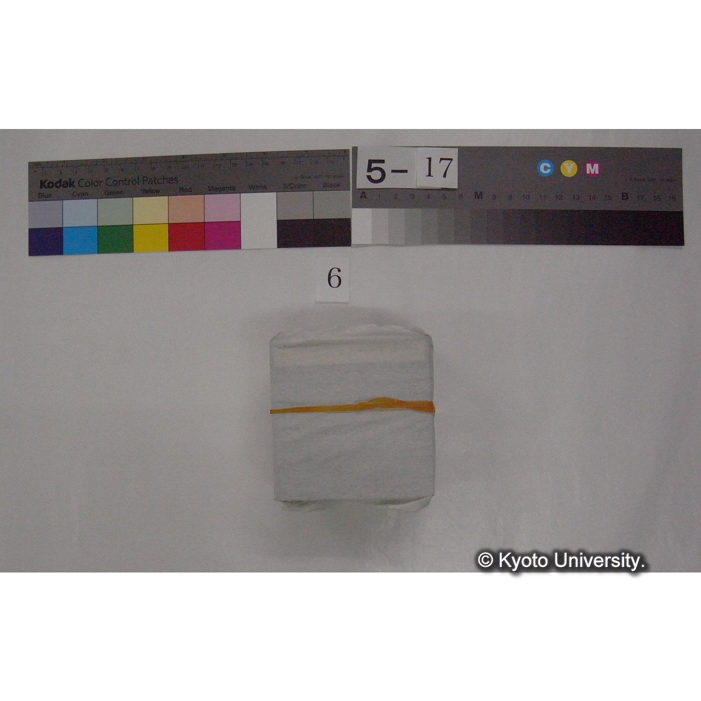 スライド(ガラス種板) (2)