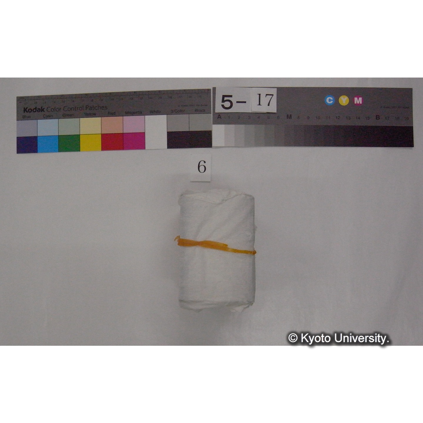 スライド(ガラス種板) (3)