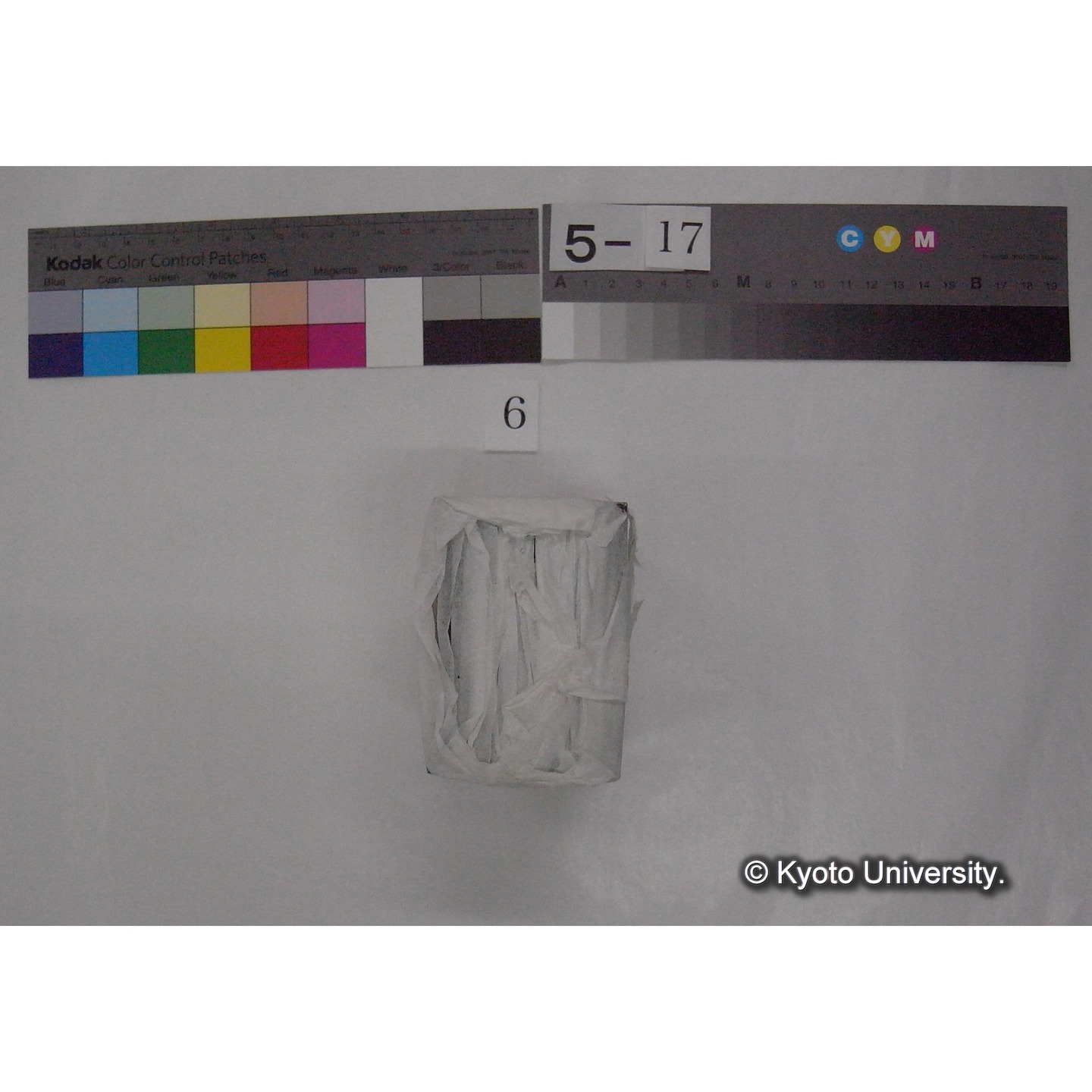 スライド(ガラス種板) (4)