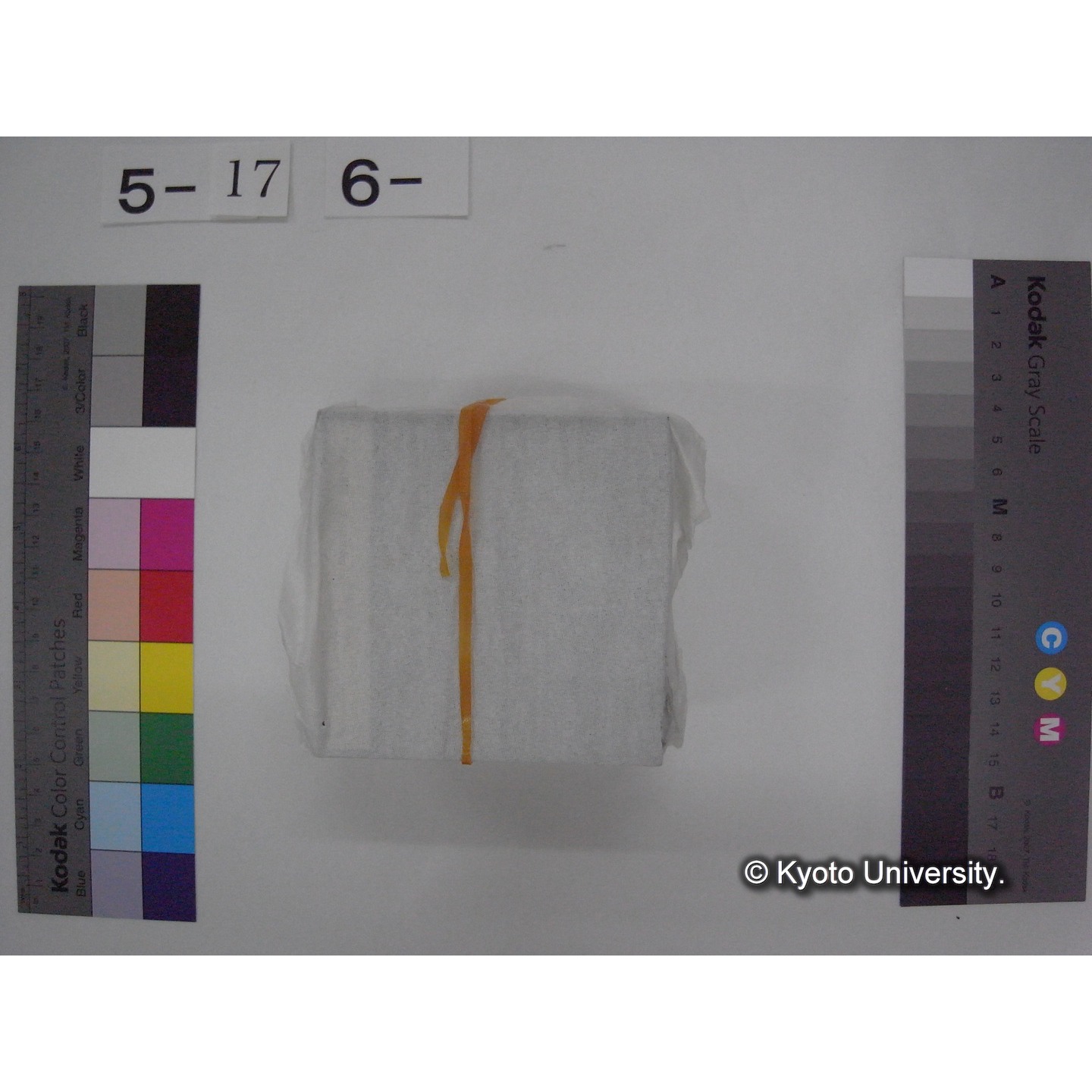 スライド(ガラス種板) (6)