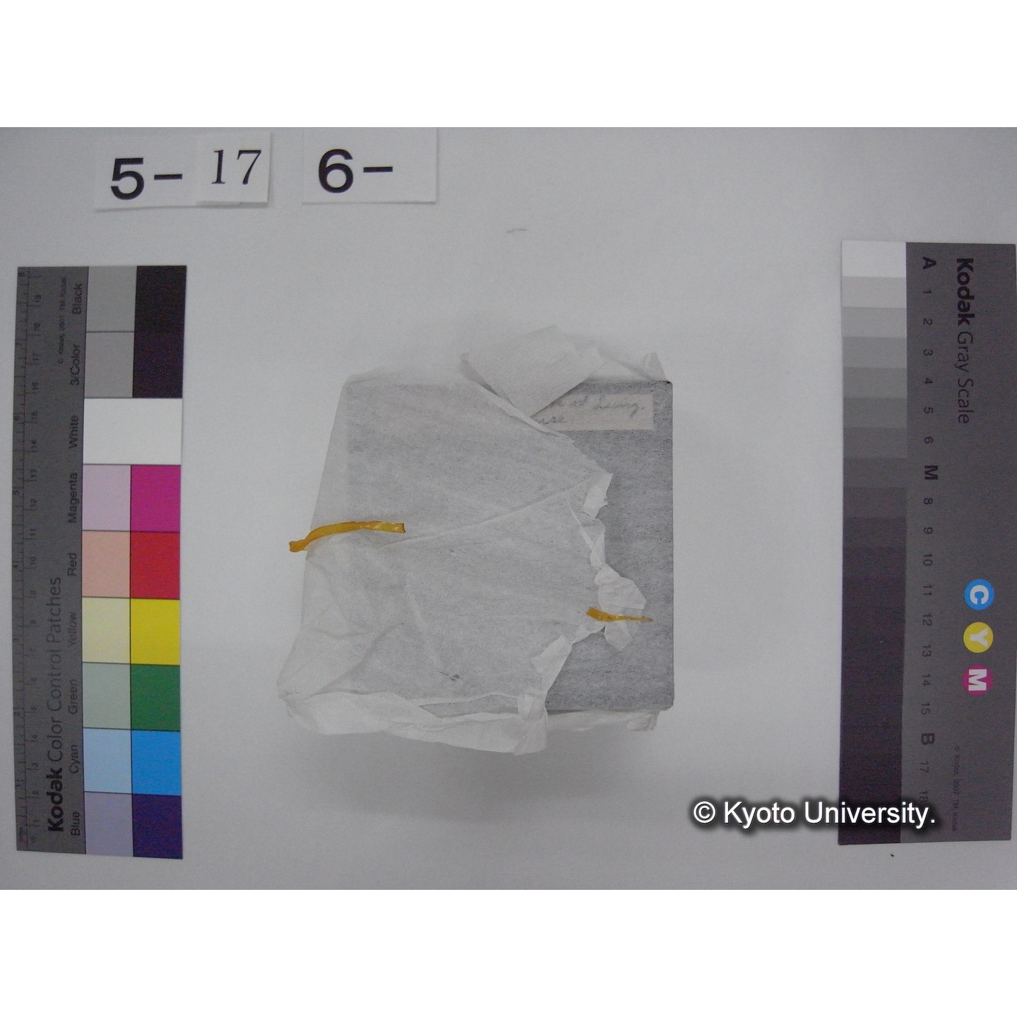 スライド(ガラス種板) (7)