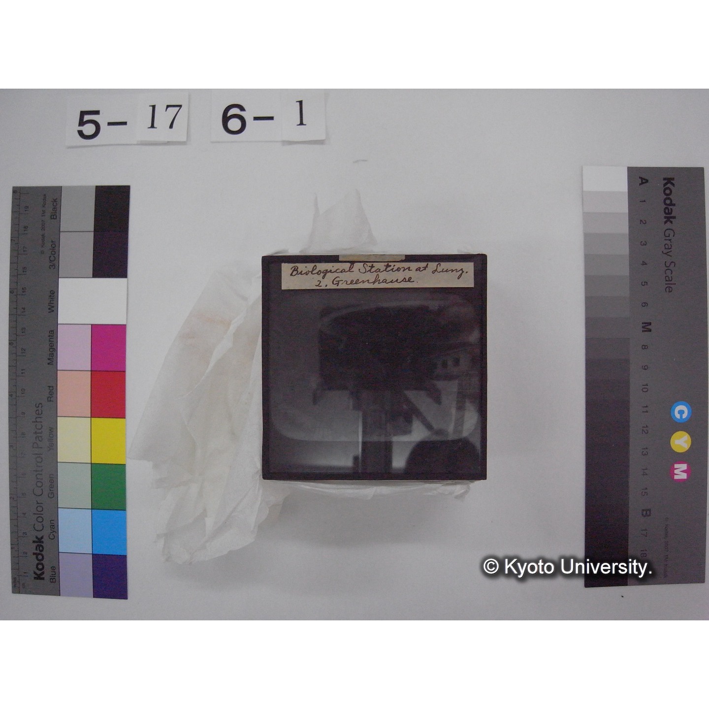 スライド(ガラス種板) (8)