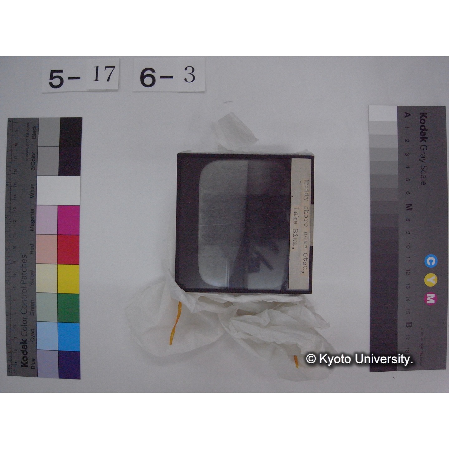 スライド(ガラス種板) (10)