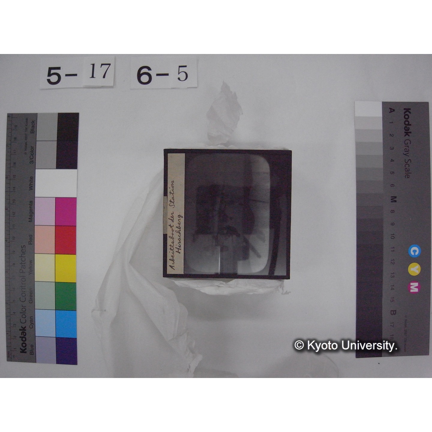 スライド(ガラス種板) (12)