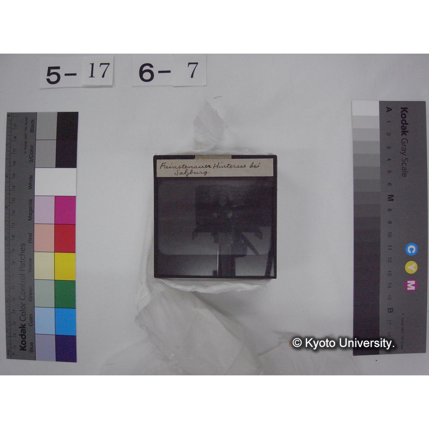 スライド(ガラス種板) (14)