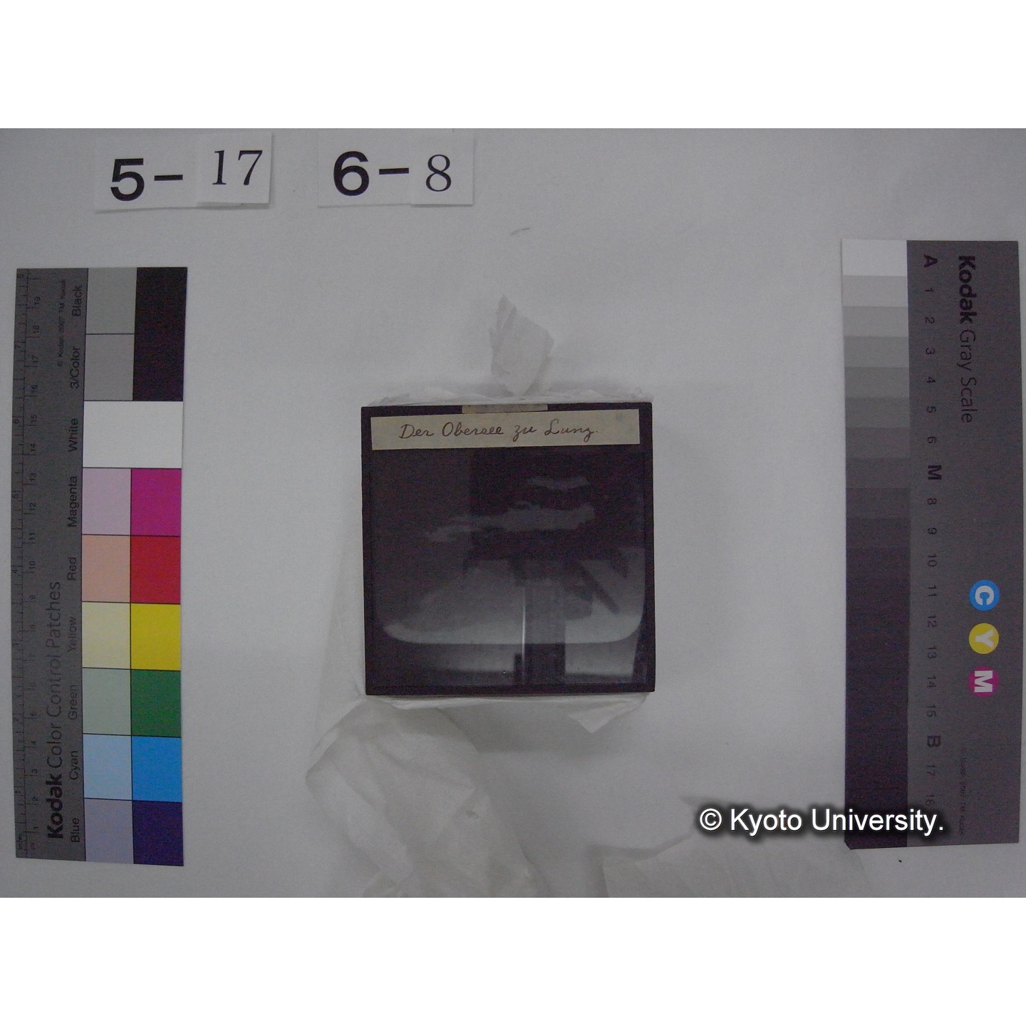 スライド(ガラス種板) (15)