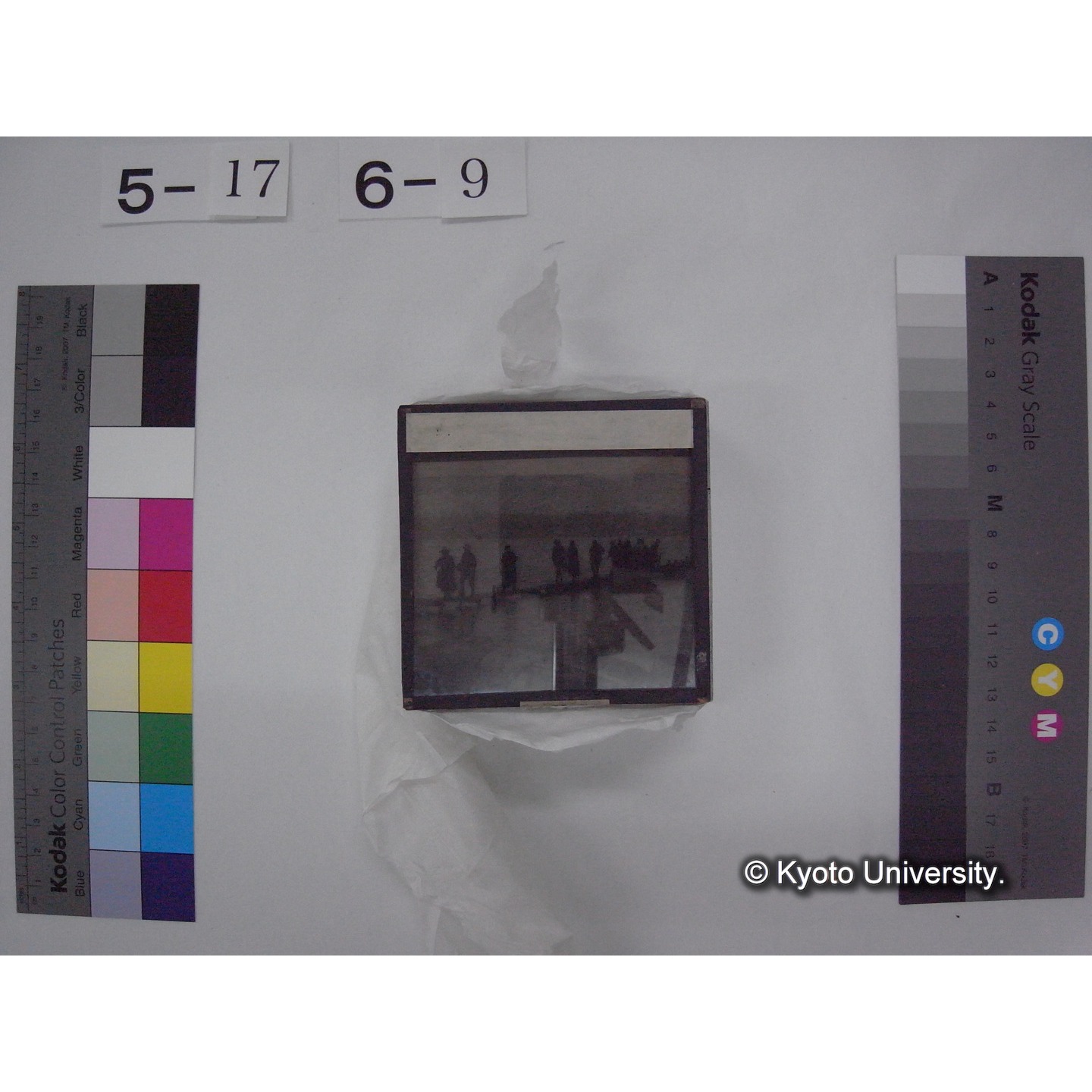 スライド(ガラス種板) (16)