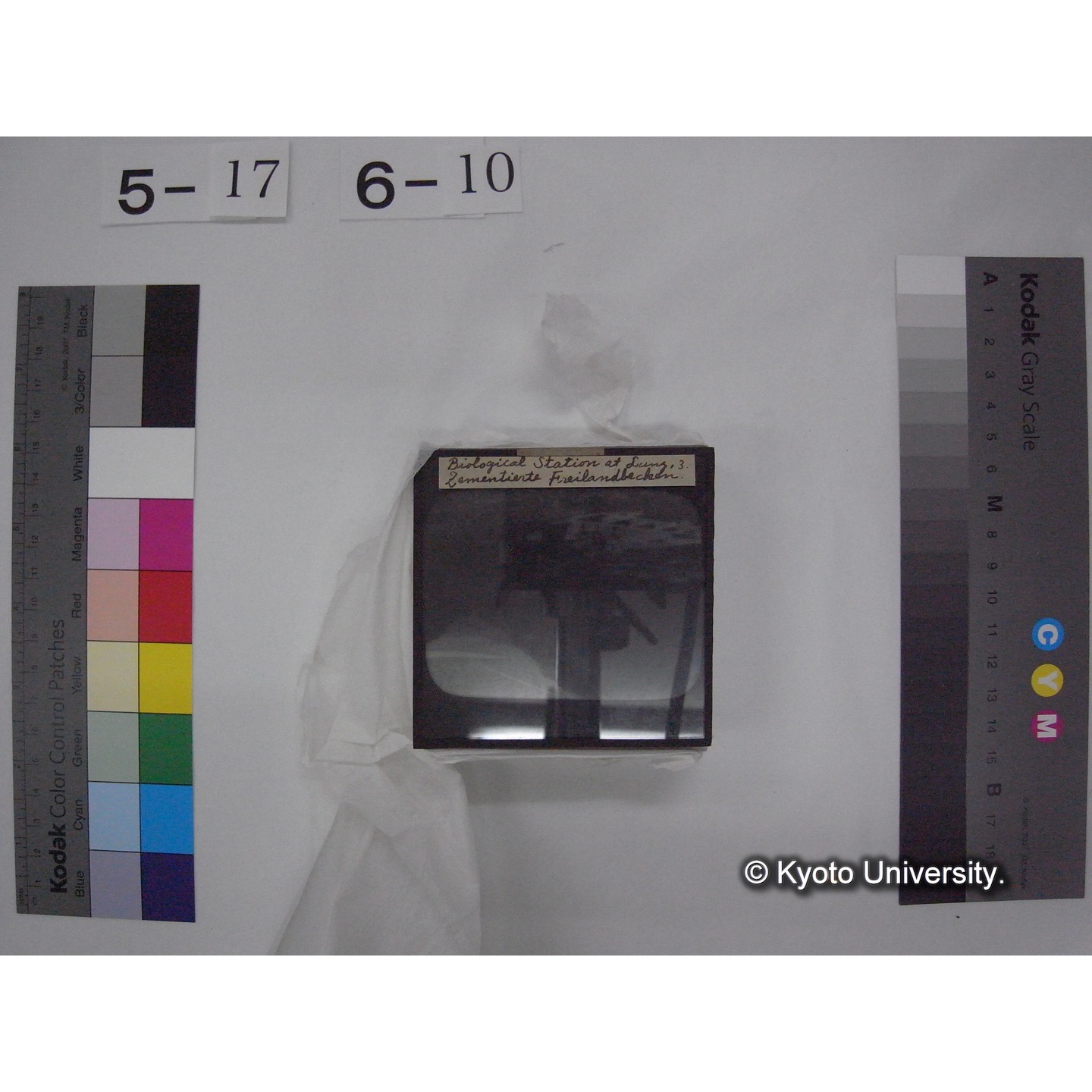 スライド(ガラス種板) (17)