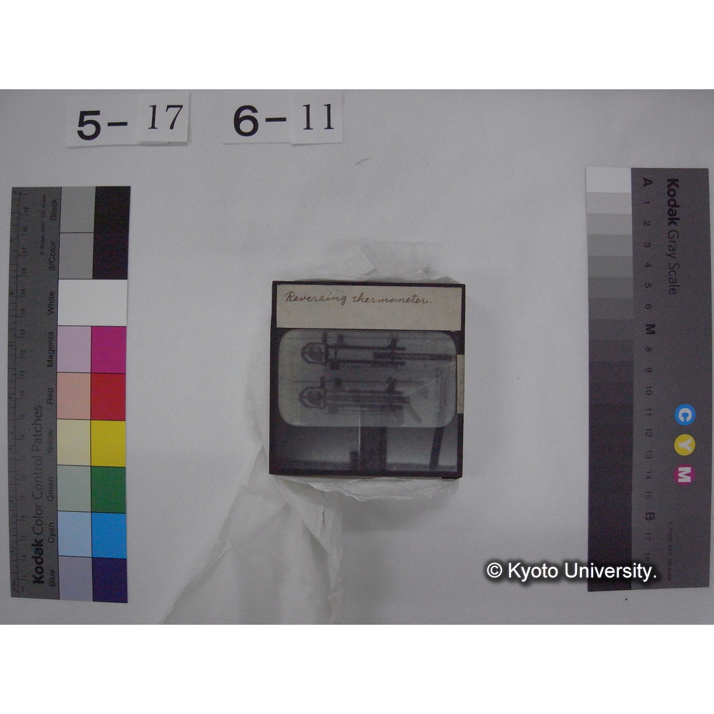 スライド(ガラス種板) (18)