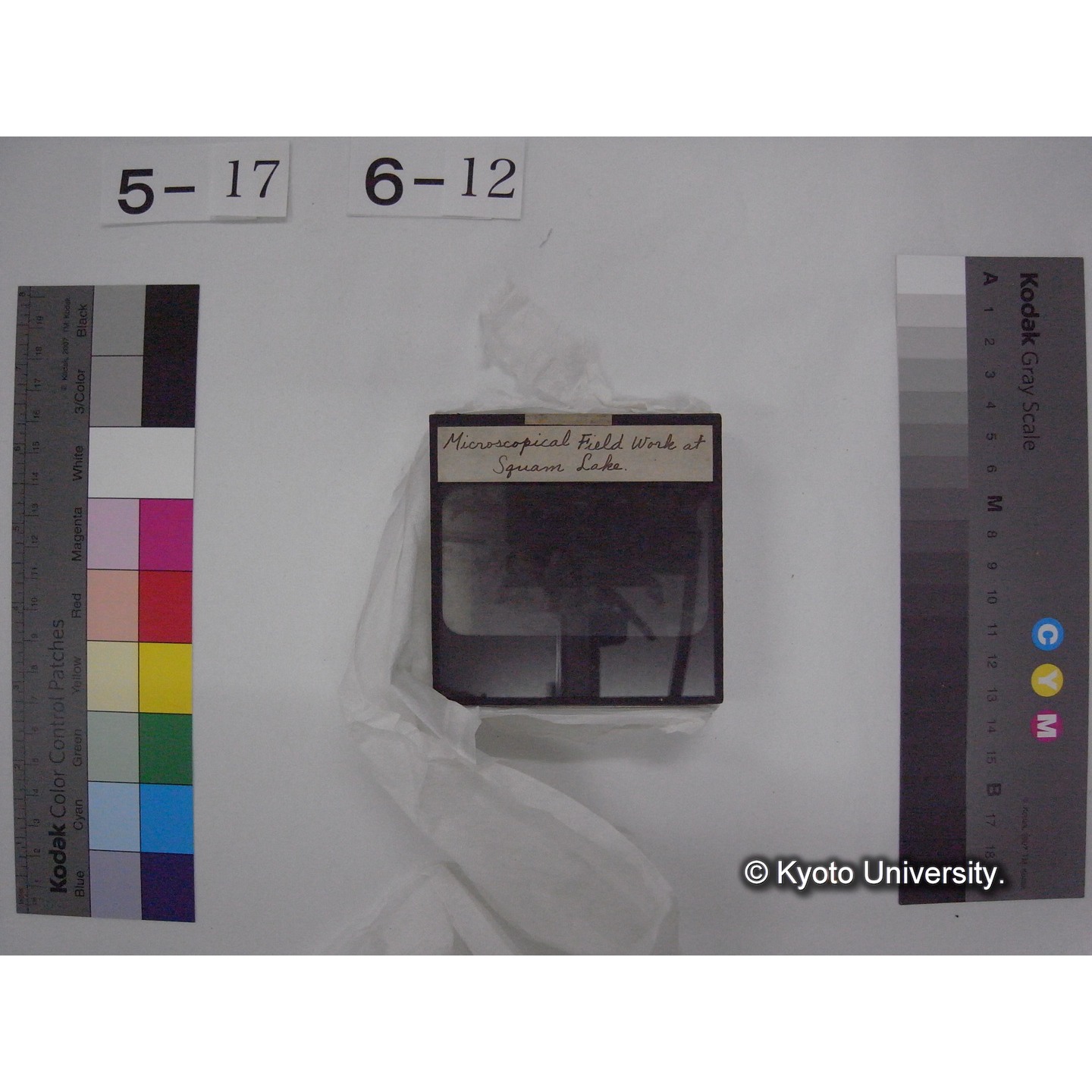 スライド(ガラス種板) (19)